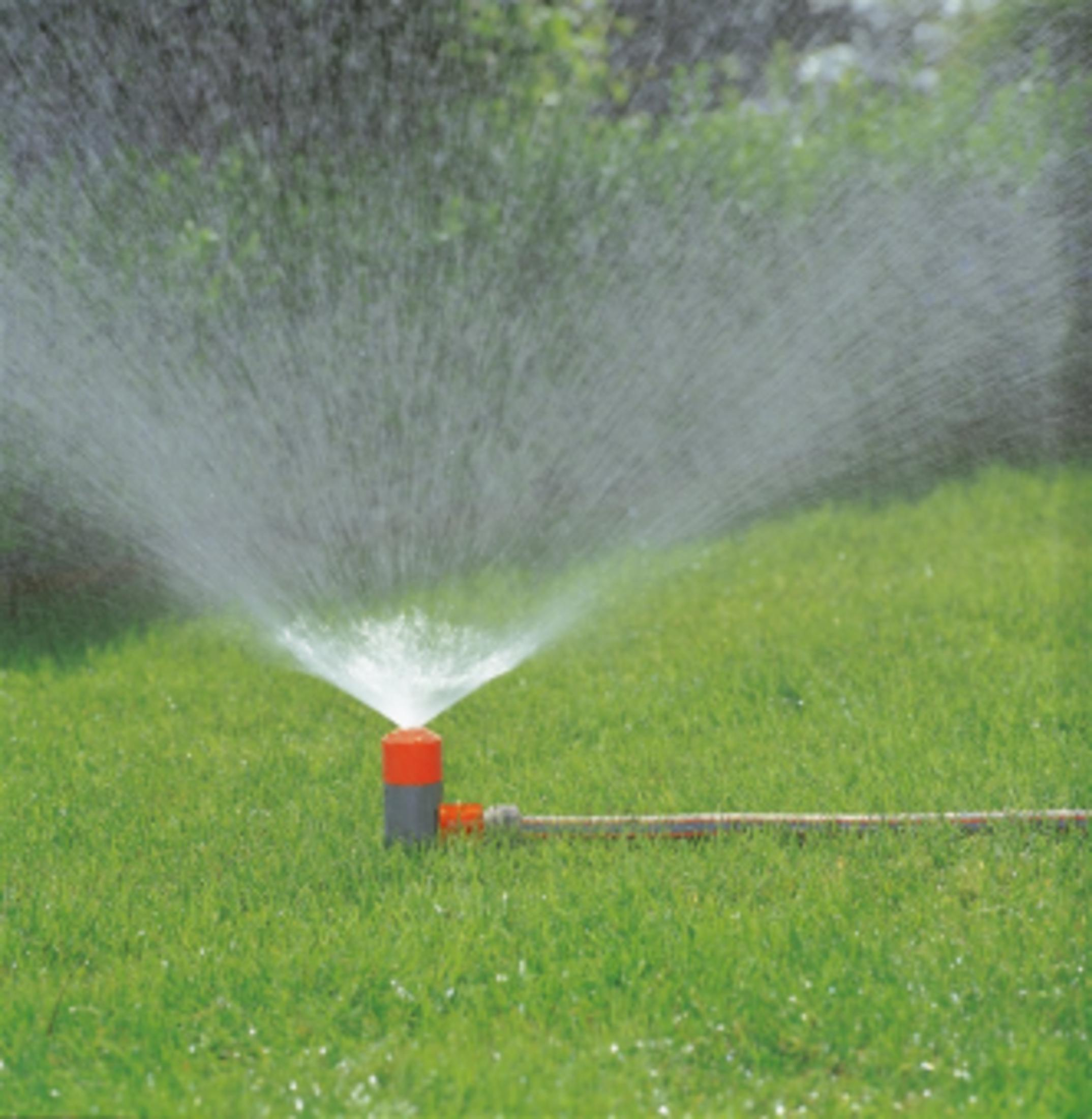 Un irrigatore annaffia un prato verde con una fine nebbiolina d'acqua.