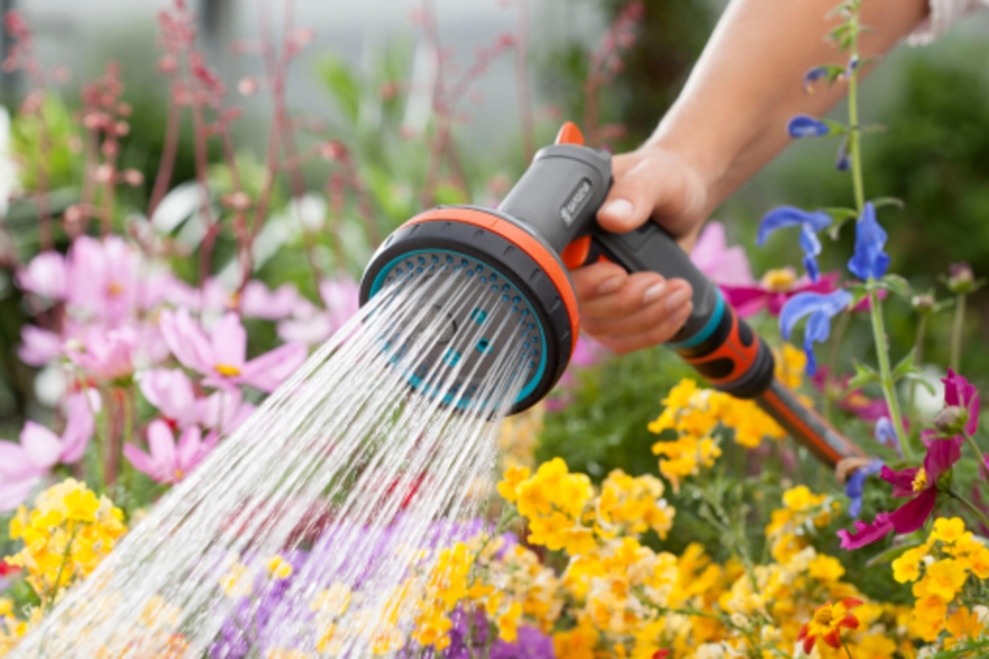 Un'impugnatura di un tubo da giardino che annaffia fiori colorati.