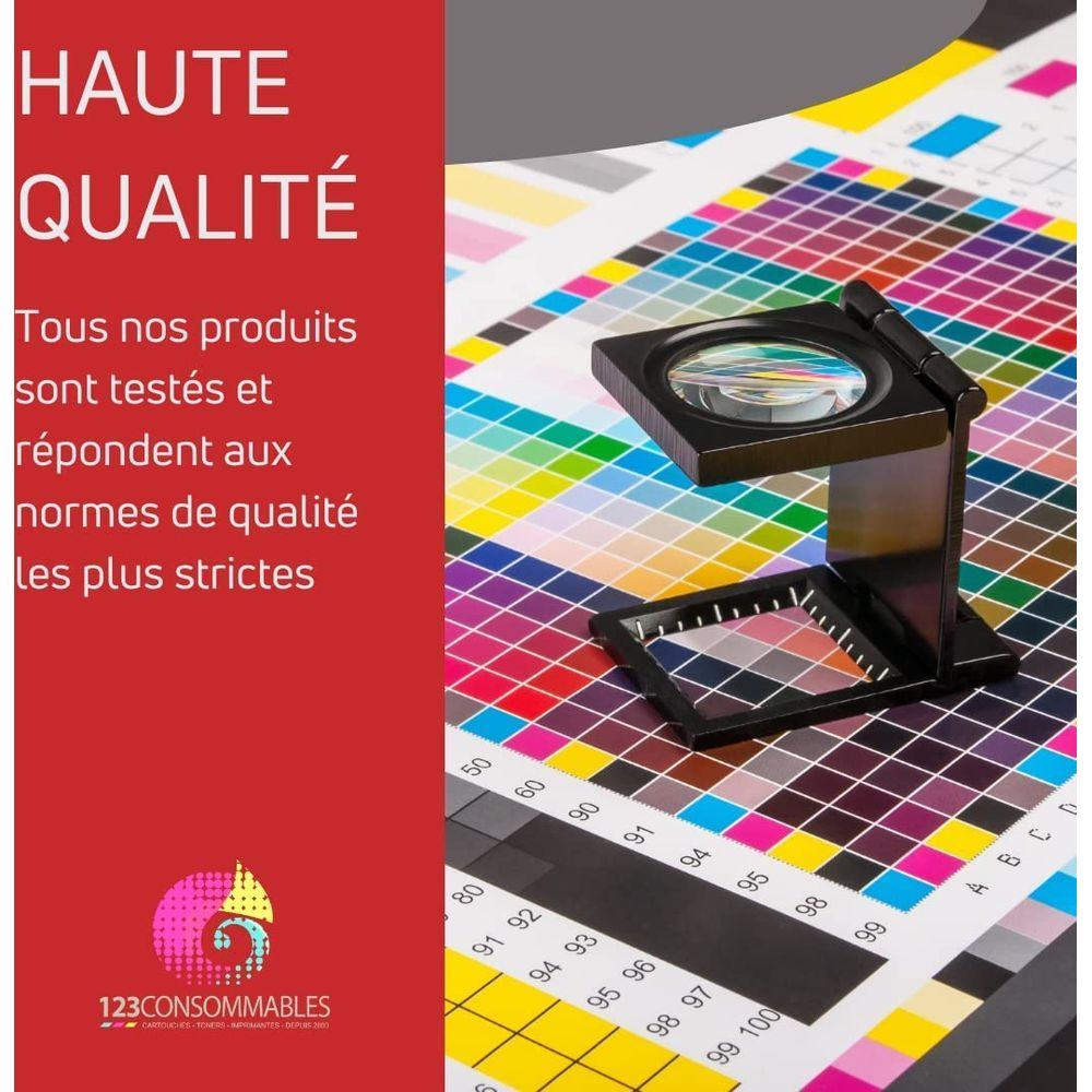 Magnifying glass over a color calibration chart with French text.