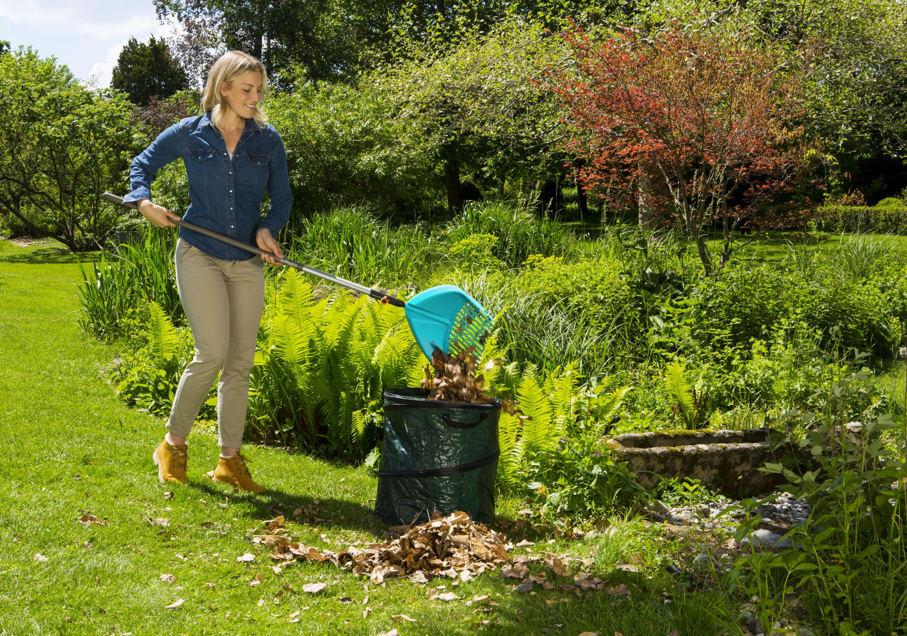 Eine Frau rechen Laub in einen grünen Sack im Garten.