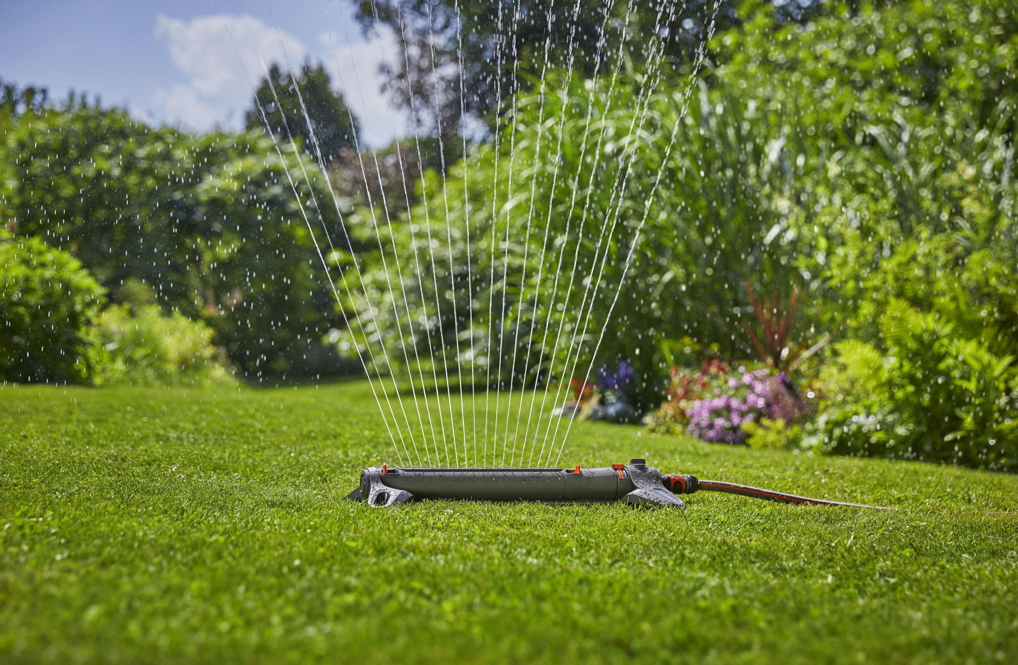 Un irrigatore per prato annaffia erba verde con piante sullo sfondo.