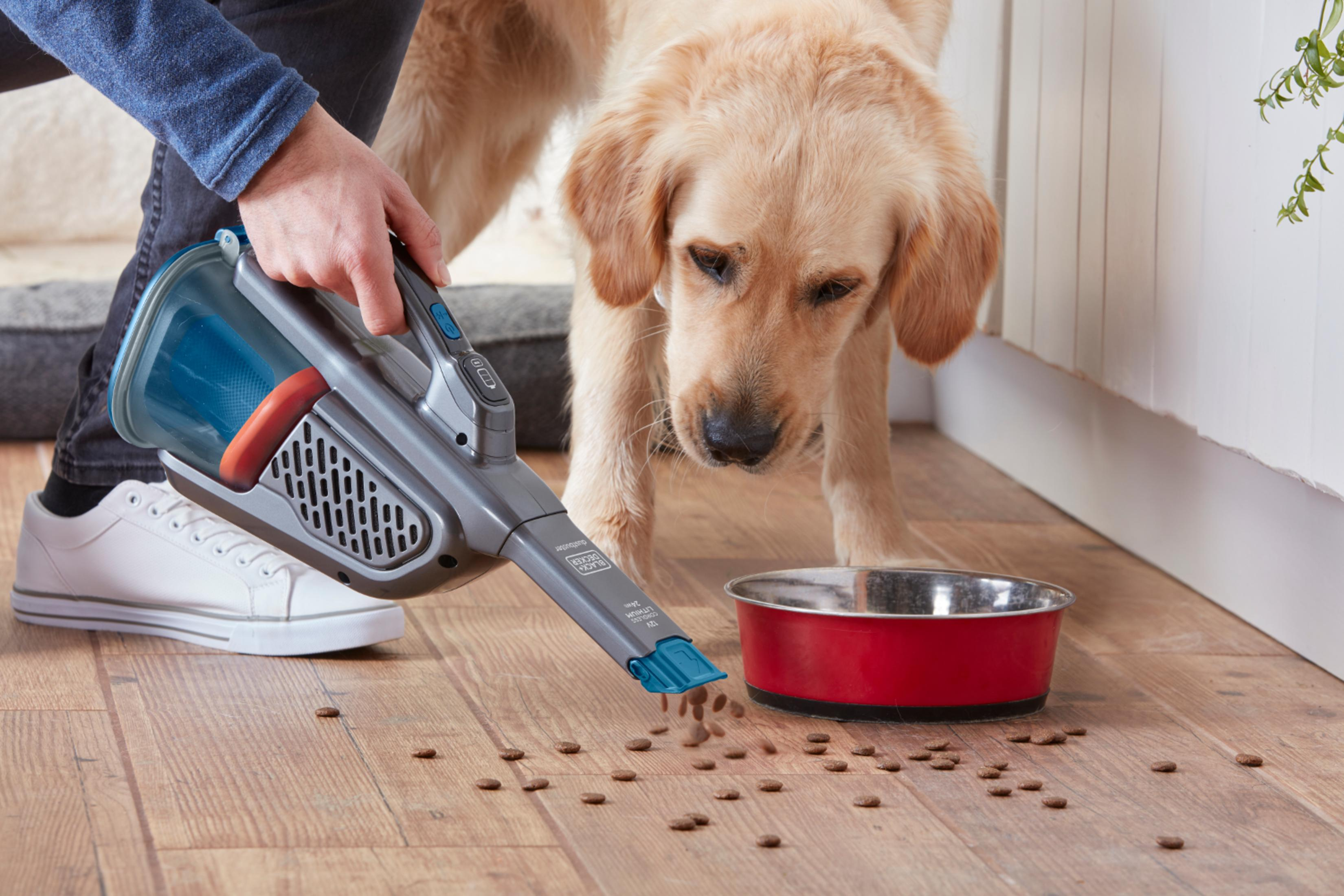 Un perro observa mientras una aspiradora de mano recoge comida del suelo de madera.