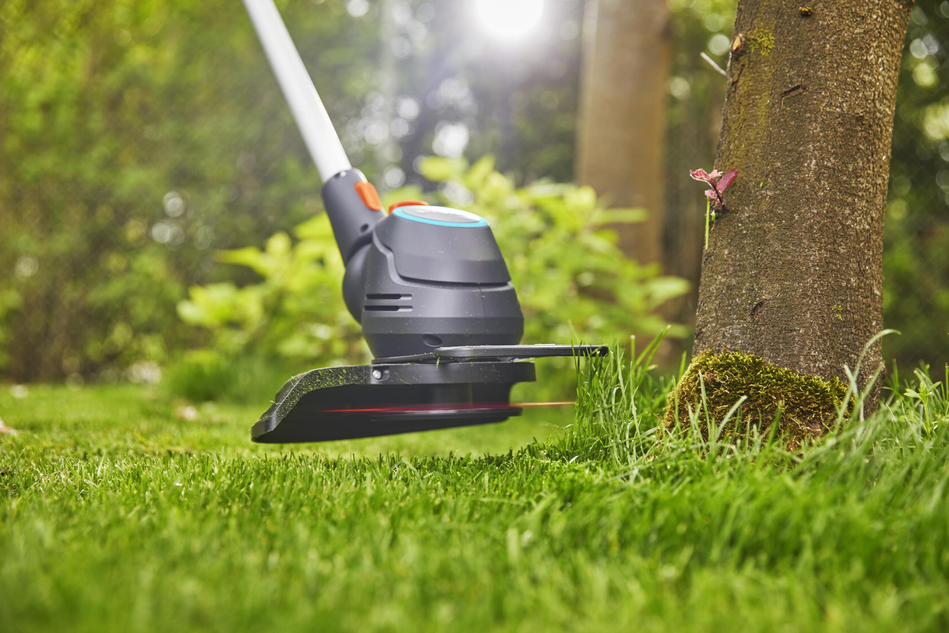 Ein Trimmer schneidet Gras neben einem moosbewachsenen Baumstamm.