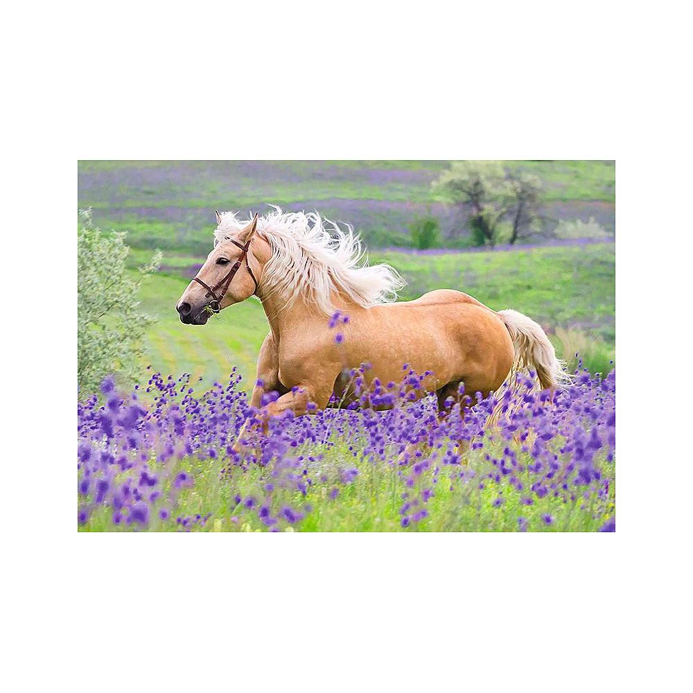 Jasnobrązowy koń z białą grzywą galopuje przez pole fioletowych kwiatów.