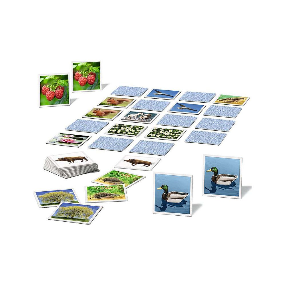Cartoline con bacche, scoiattoli, uccelli, coccodrillo, ninfee, cinghiali, ricci, alberi e anatre.