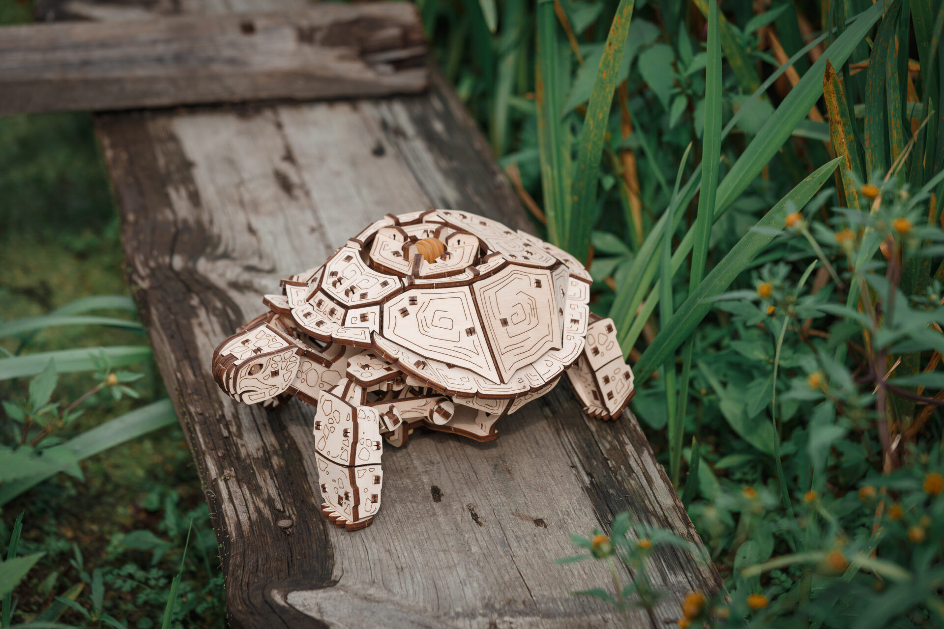 Ein hölzernes Schildkröten-Puzzle sitzt auf einem alten Holzbrett, umgeben von Grün.