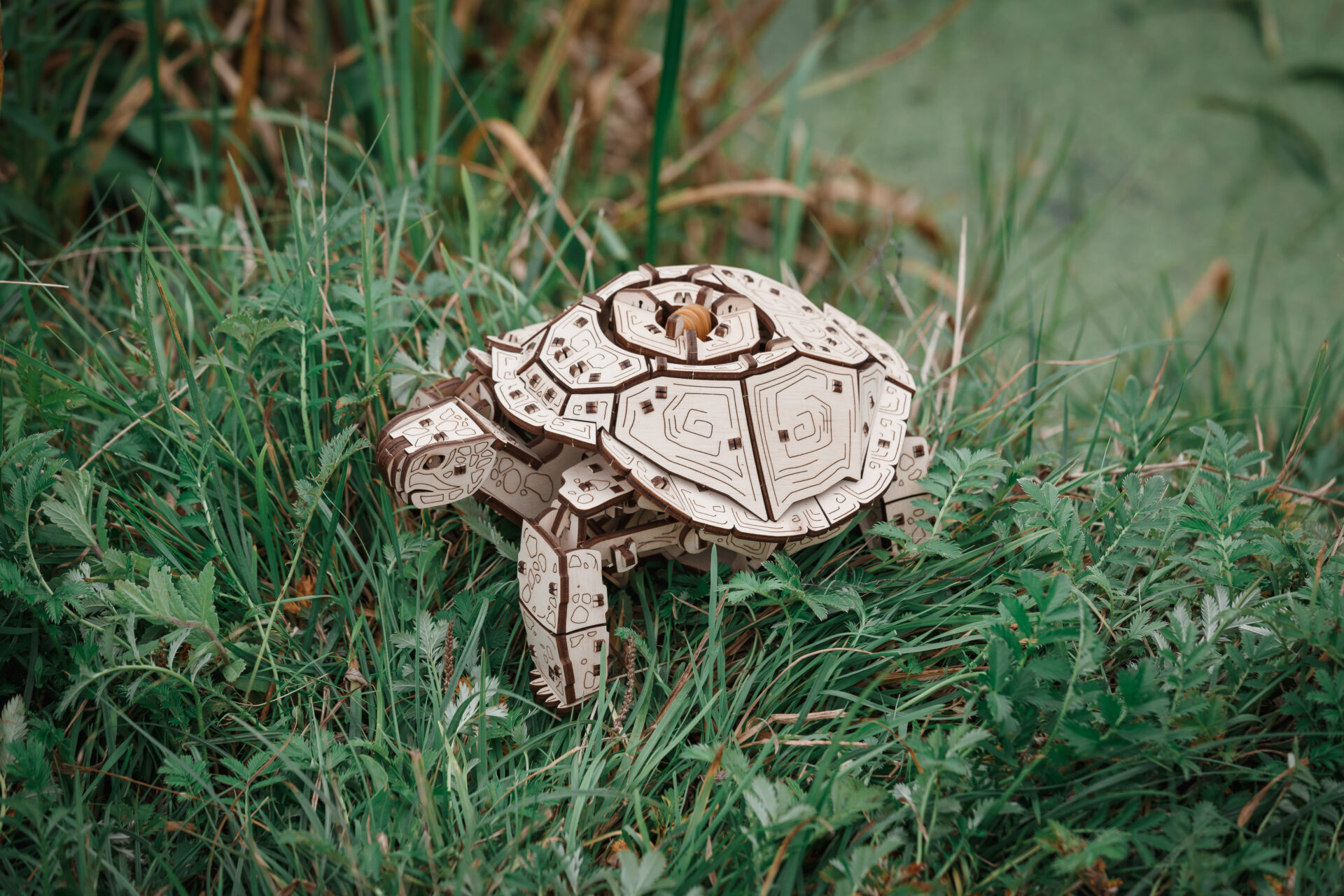 Ein hölzernes Spielzeugschildkrötenmodell sitzt im Gras.