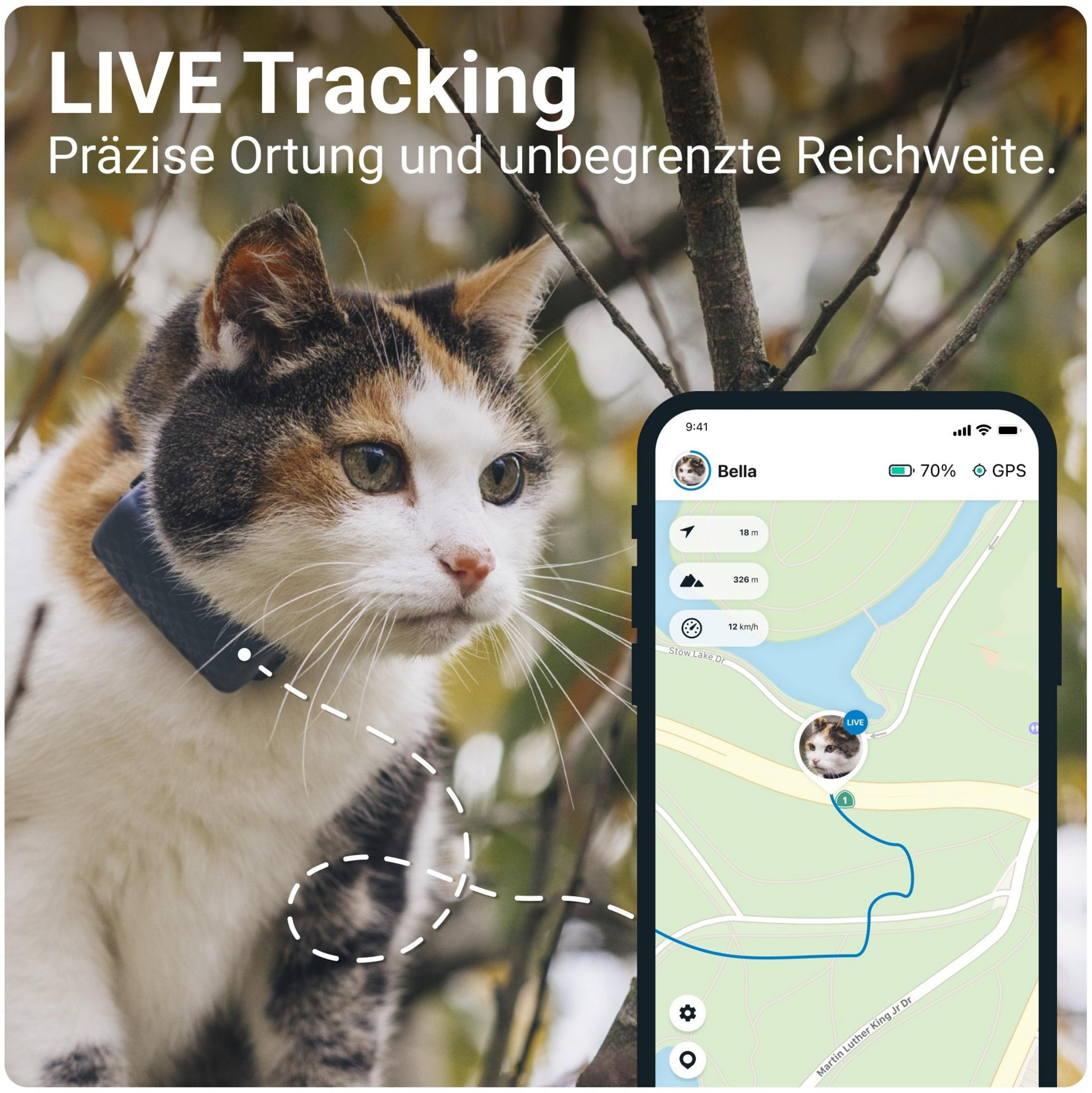 Eine Katze mit GPS-Tracker am Halsband, daneben eine Handy-App mit Karte.