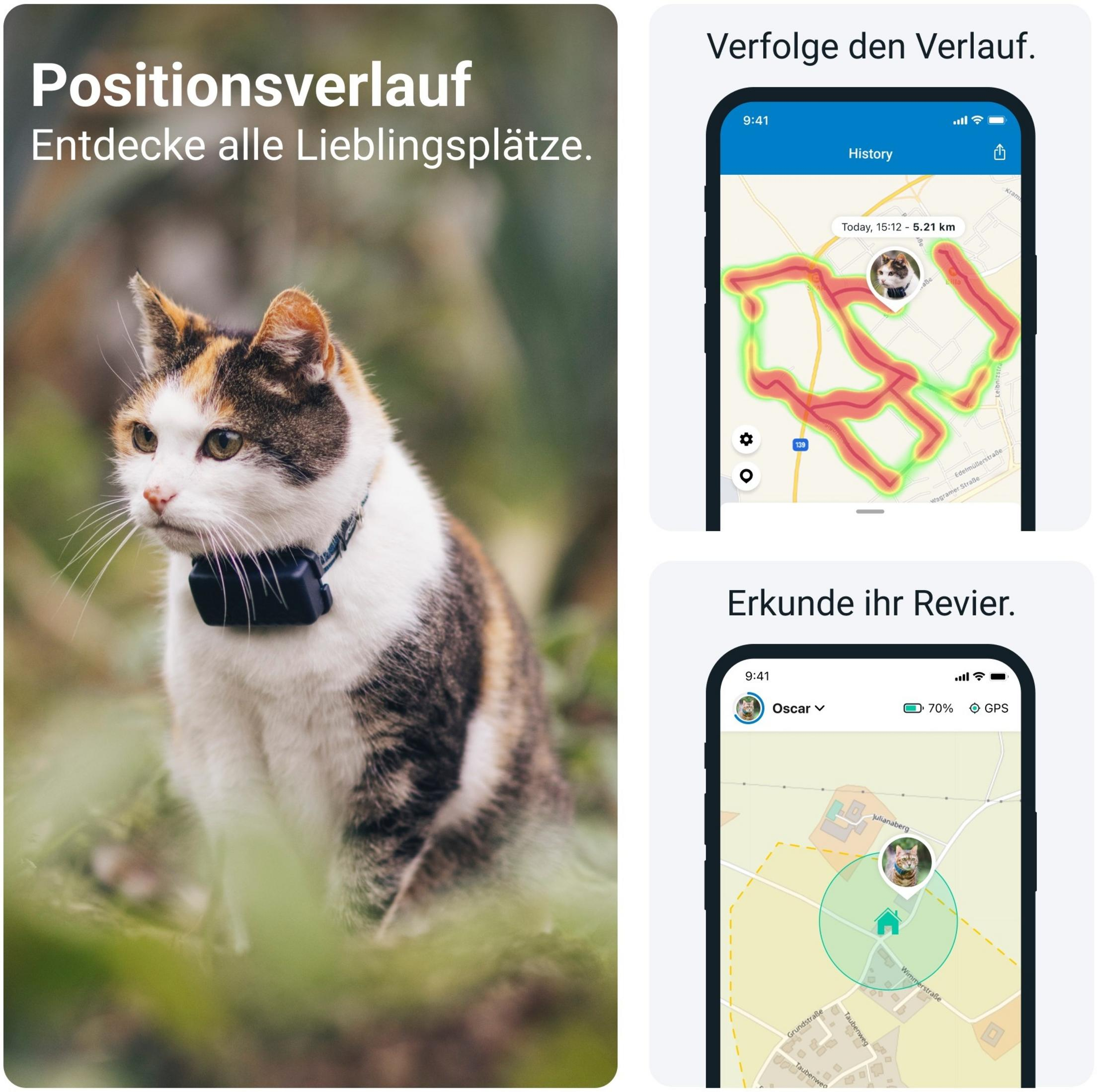 Eine Katze mit GPS-Tracker sitzt im Gras. Daneben sind Handy-Screens mit Routen.