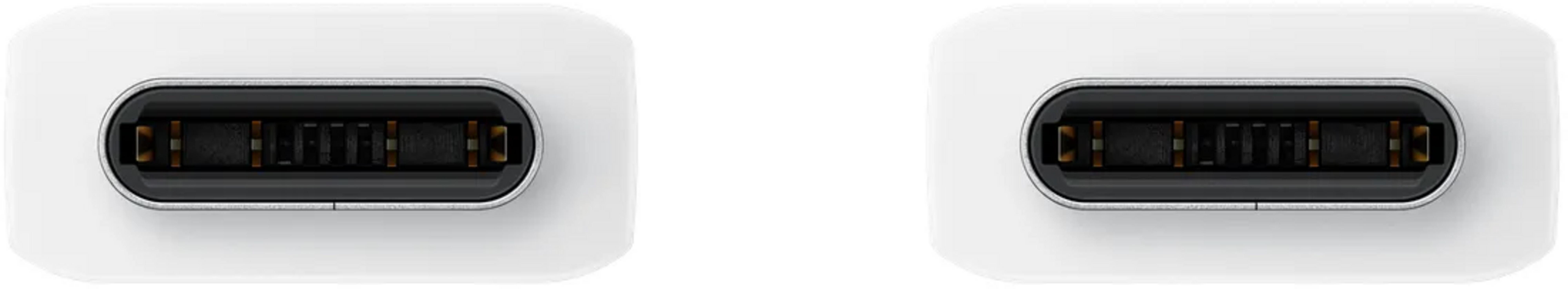 Dwa białe złącza USB-C obok siebie z widocznymi pinami.