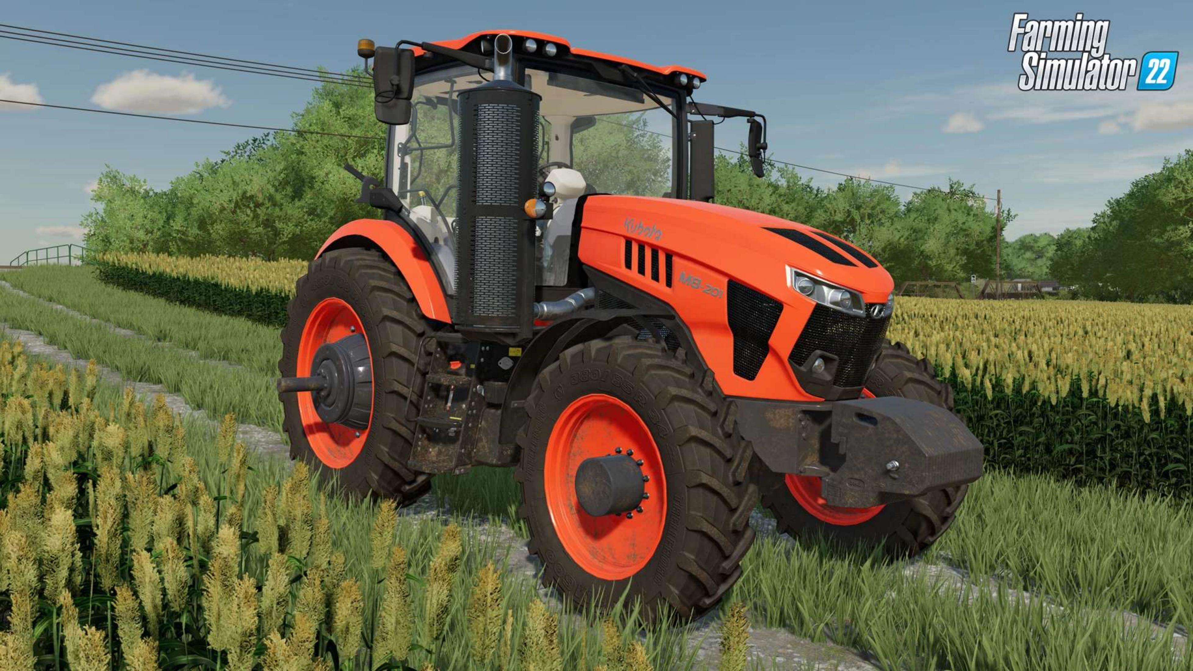Ein orangefarbener Traktor steht auf einem Feld mit hohen Gräsern und Bäumen im Hintergrund.
