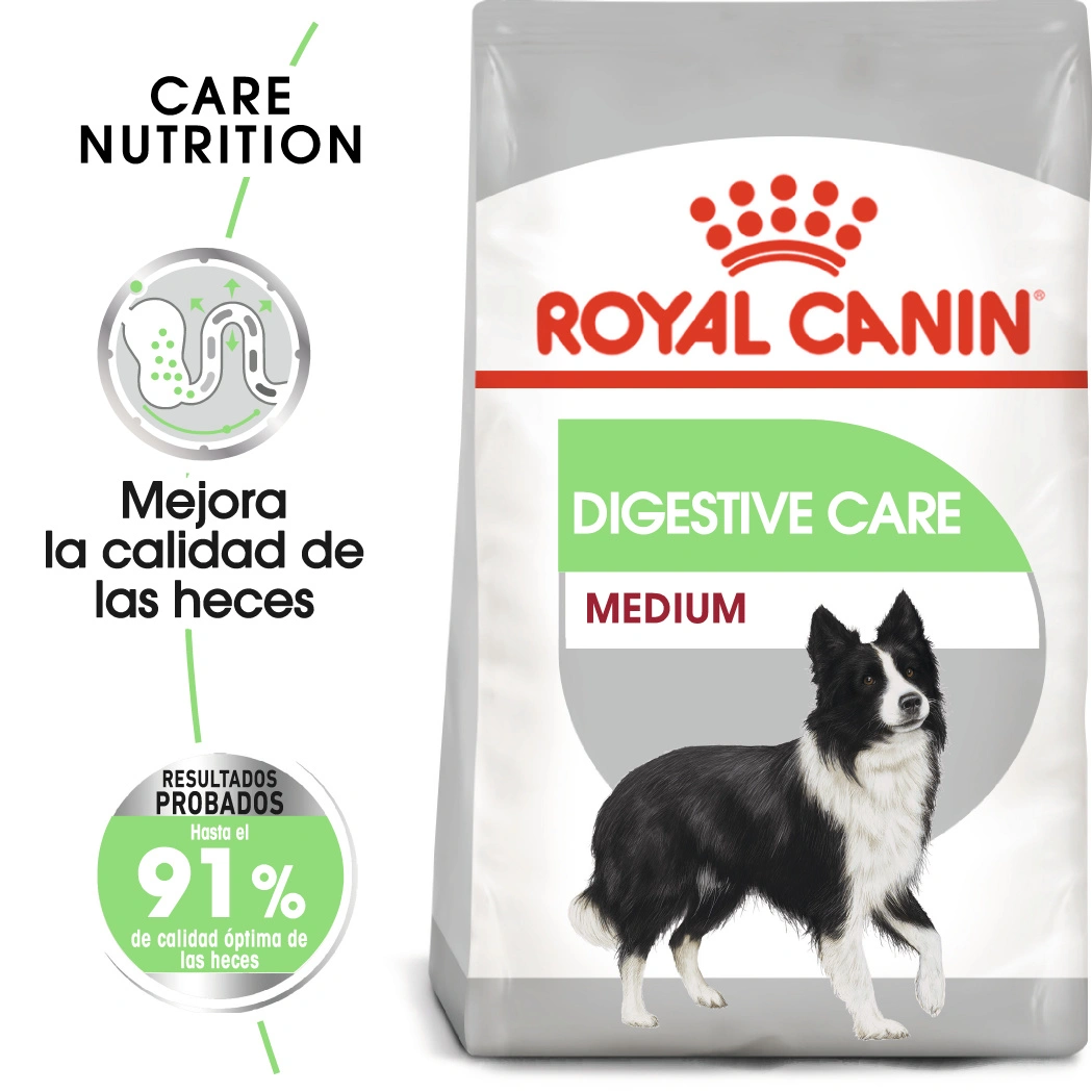 Bolsa Royal Canin para perros medianos, cuidado digestivo, con un border collie.