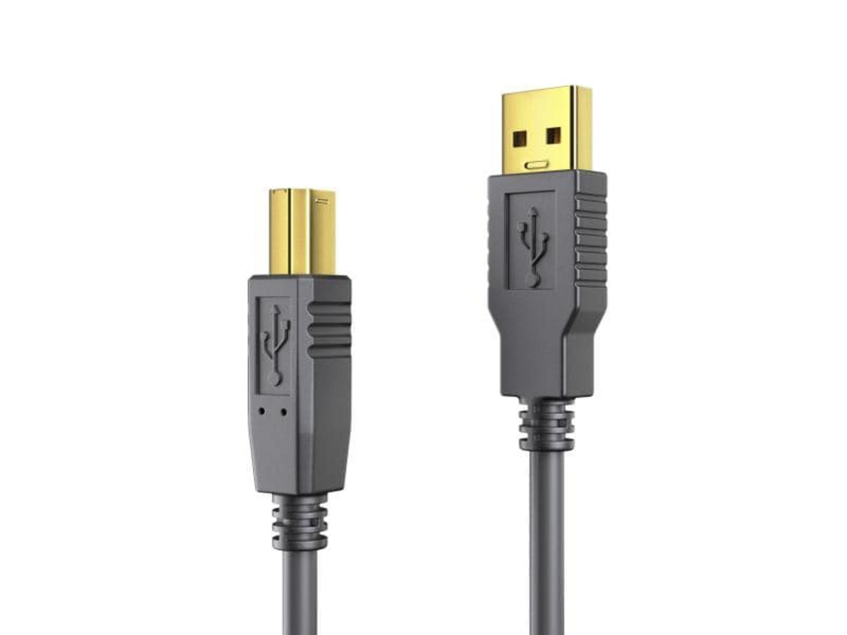 Due connettori cavo USB con contatti dorati e simbolo USB su alloggiamento grigio.