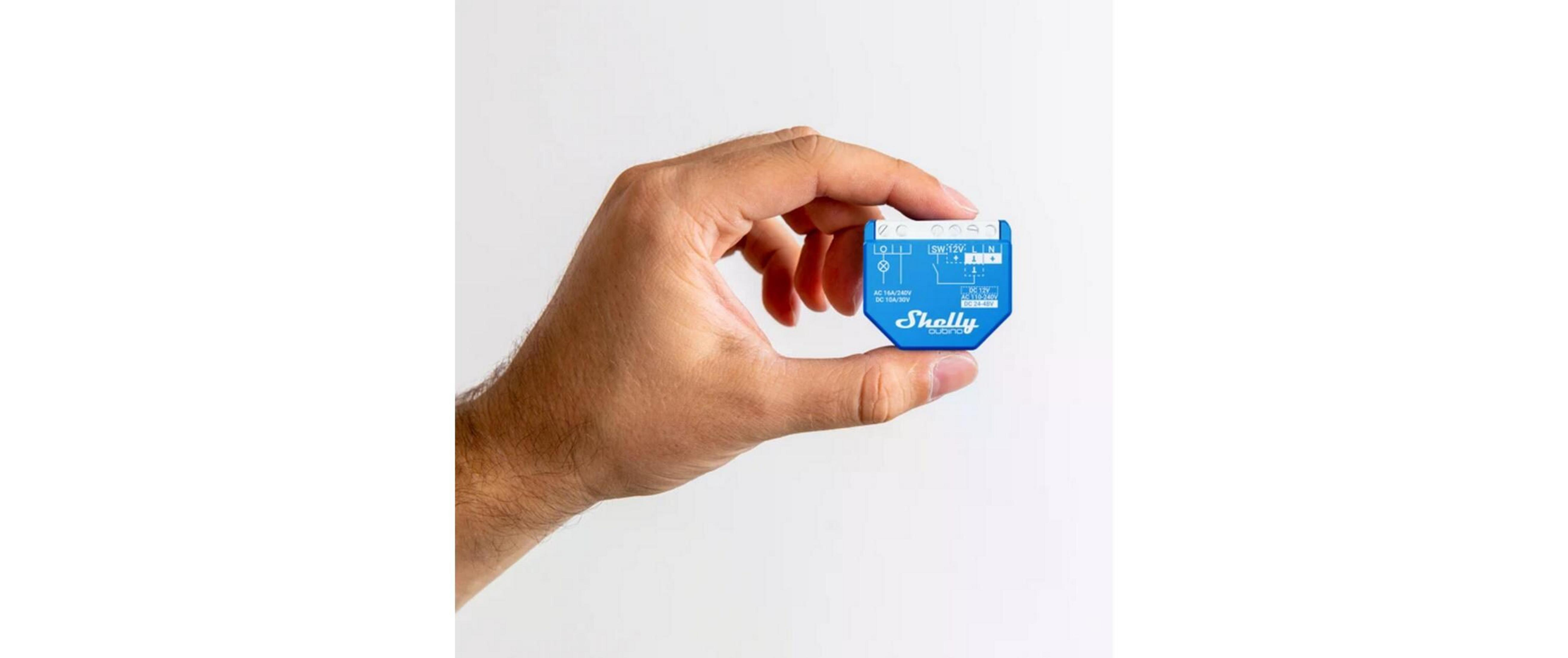 Eine Hand hält ein kleines blaues Shelly-Gerät mit Beschriftungen.