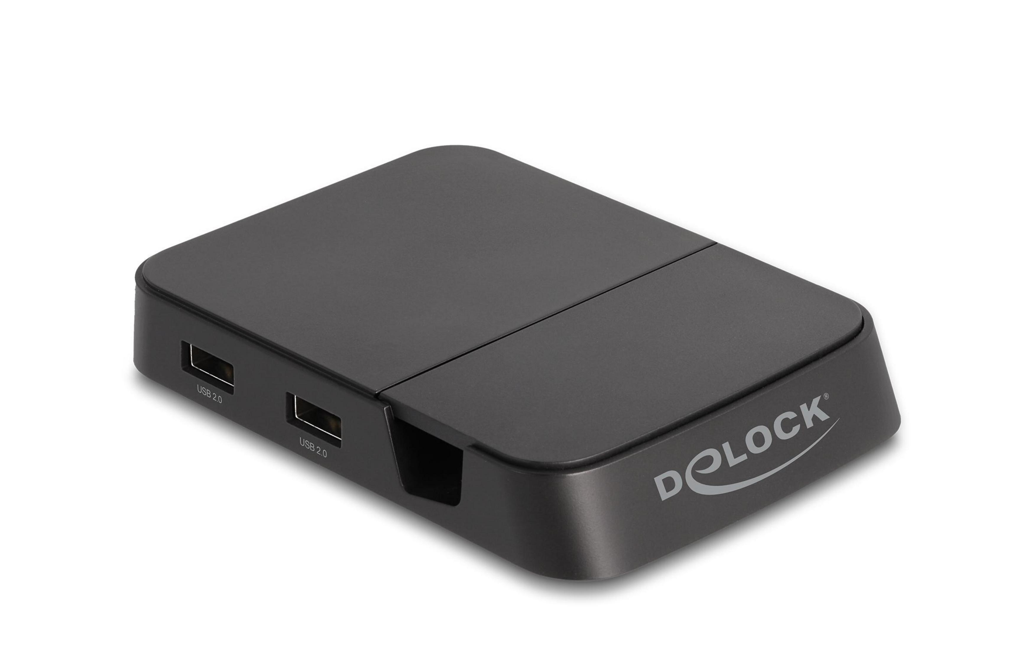 Schwarzes USB-Hub mit zwei USB 2.0 Anschlüssen und Logo.