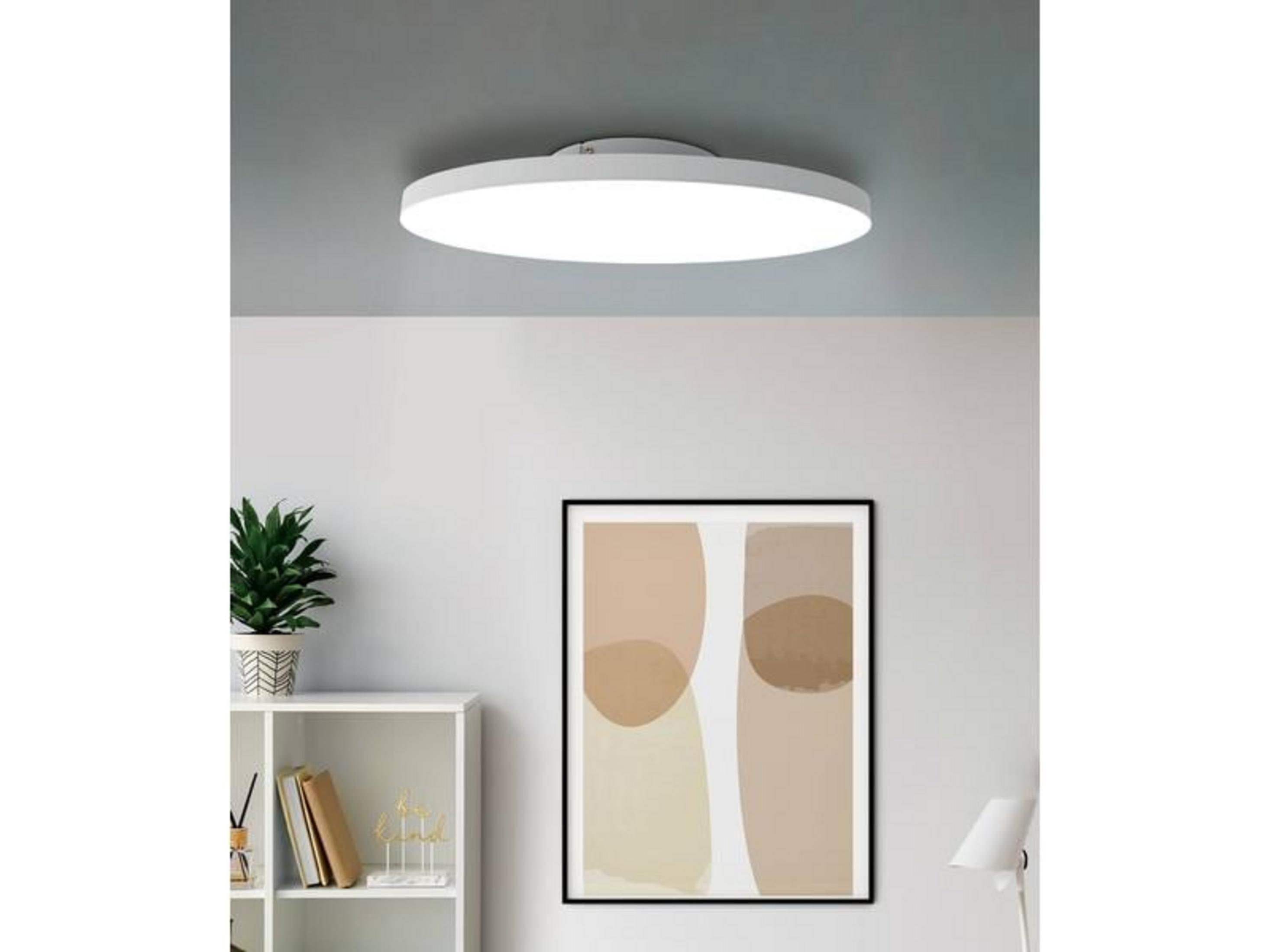 Plafoniera moderna sopra scaffale con quadro e pianta.