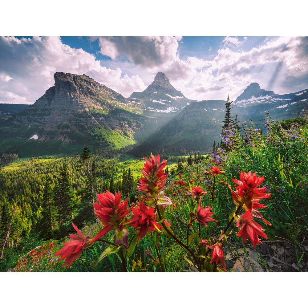 Rote Blumen im Vordergrund mit Berggipfeln und Wolken am Himmel.