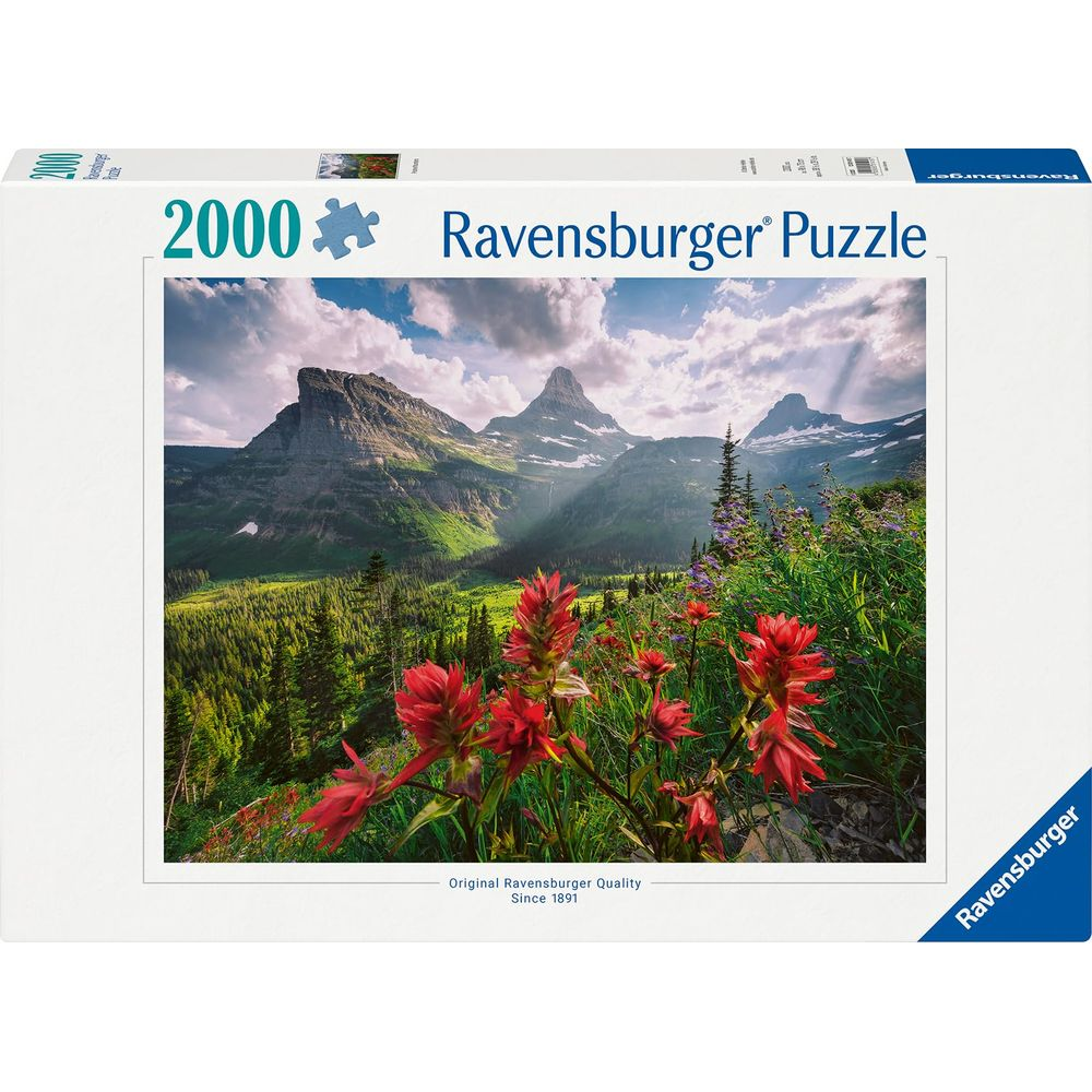 Berglandschaft mit roten Blumen im Vordergrund, dramatische Wolken und Sonnenstrahlen.