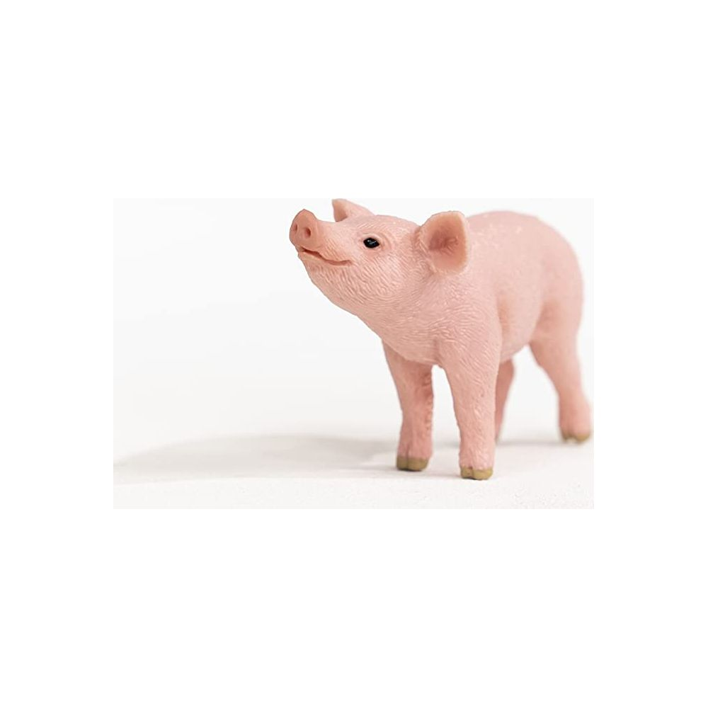 Ein rosa Schwein steht auf einem weißen Hintergrund.