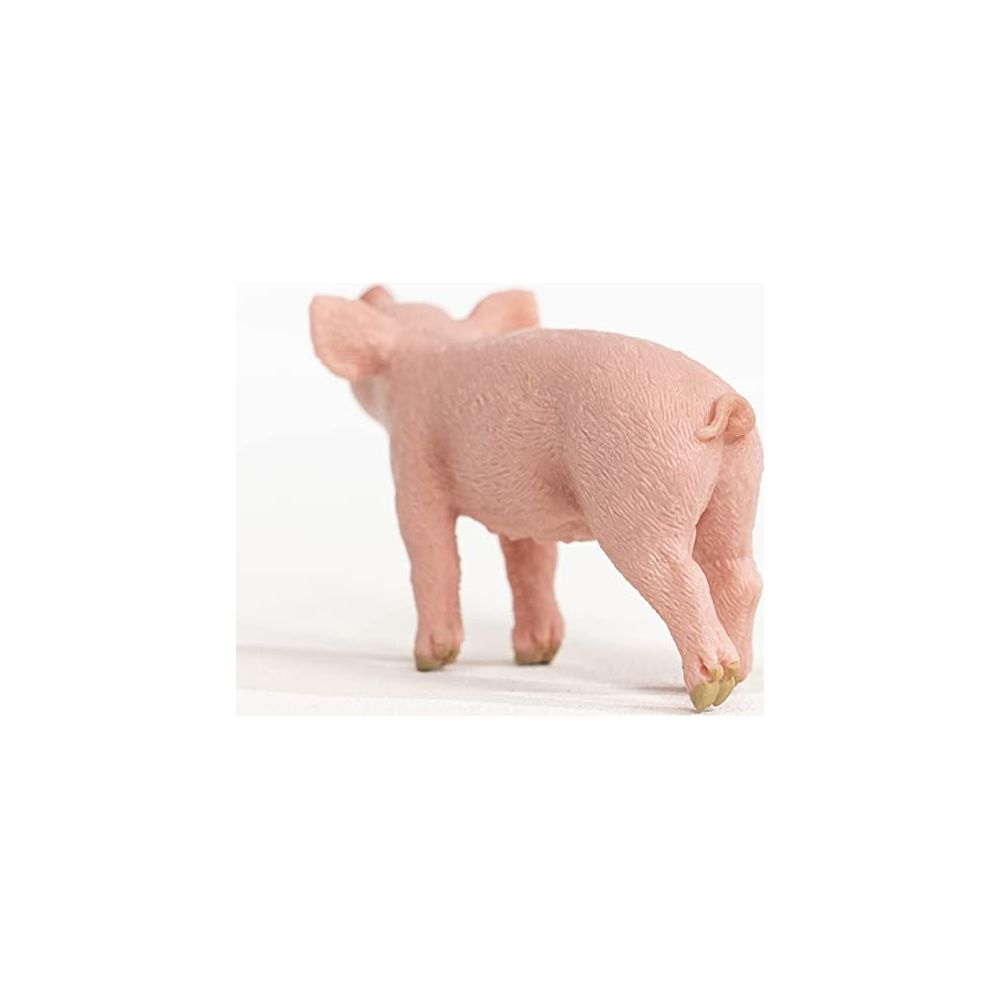 Ein rosa Schweinemodell, von hinten gesehen, auf weißem Hintergrund.