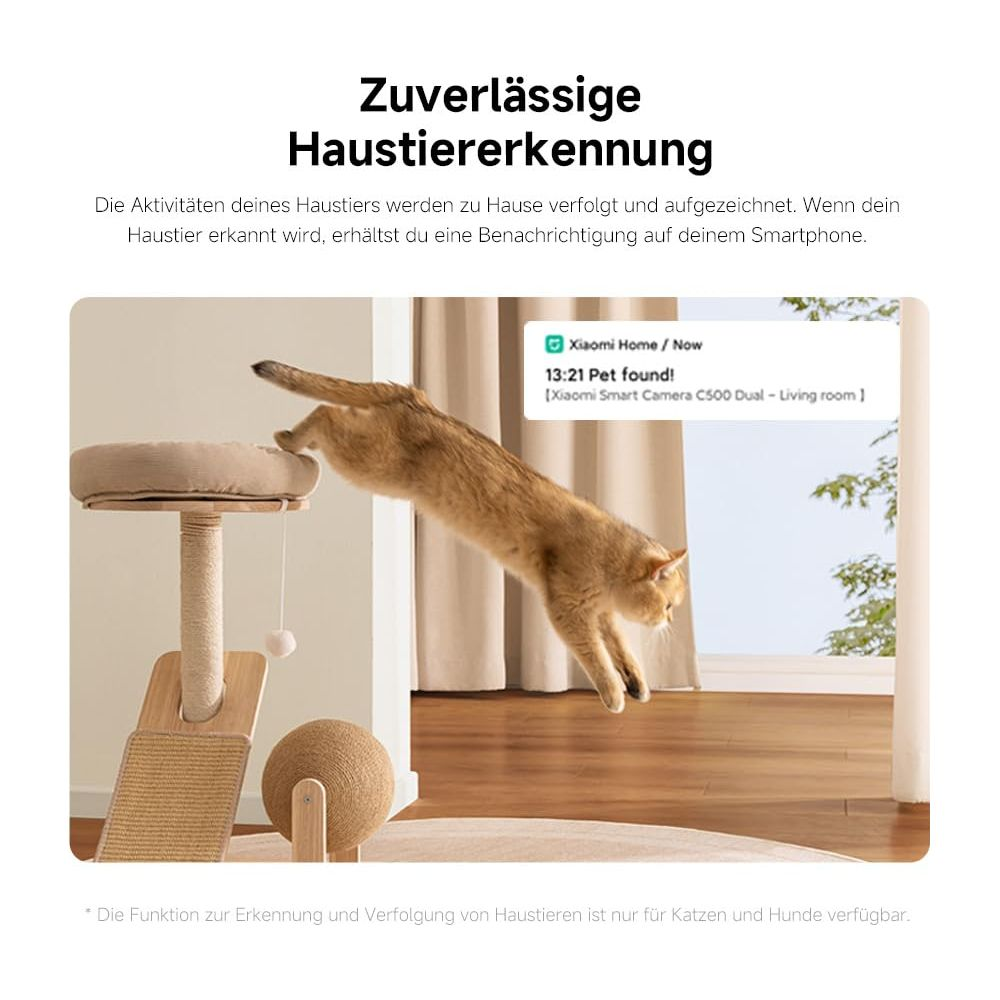 Eine Katze springt auf einen Kratzbaum, während eine Benachrichtigung 