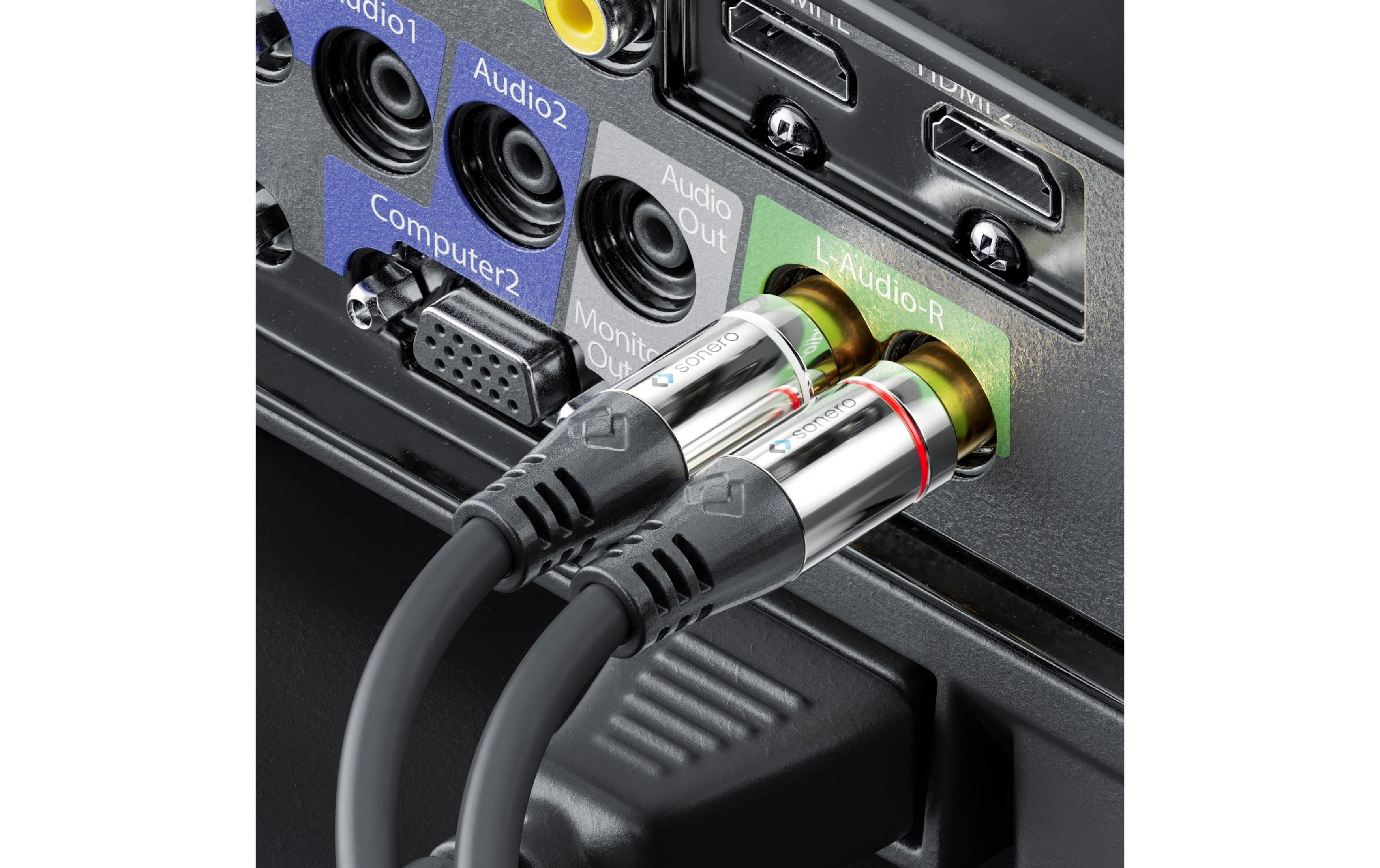 Zwei Cinch-Audiokabel werden in einen schwarzen Anschluss gesteckt.