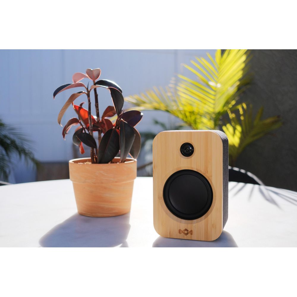 Un haut-parleur en bois avec une grille noire et une plante en pot.