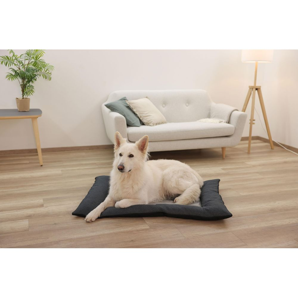 Un cane bianco giace su un letto scuro per cani su un pavimento in legno.