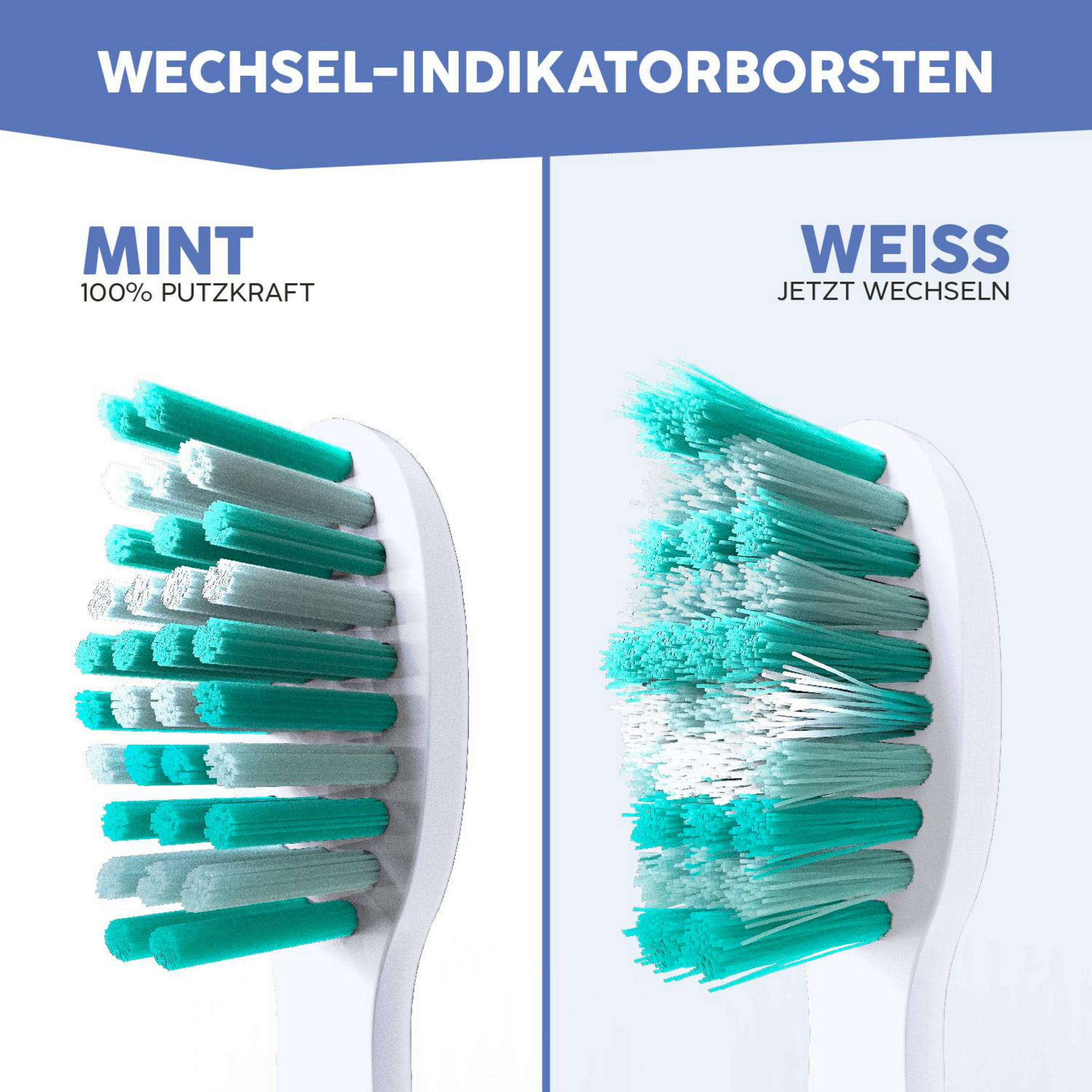 Zwei Zahnbürstenköpfe: einer mit mintfarbenen Borsten, einer mit weißen Borsten.