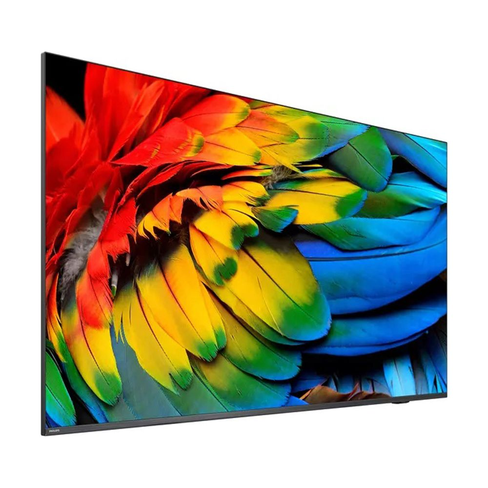 Zbliżenie kolorowych piór papugi w kolorze czerwonym, żółtym, zielonym i niebieskim.