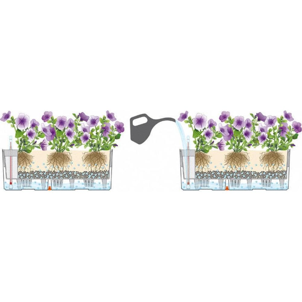 Sistema de plantación hidropónica con petunias moradas y regadera.