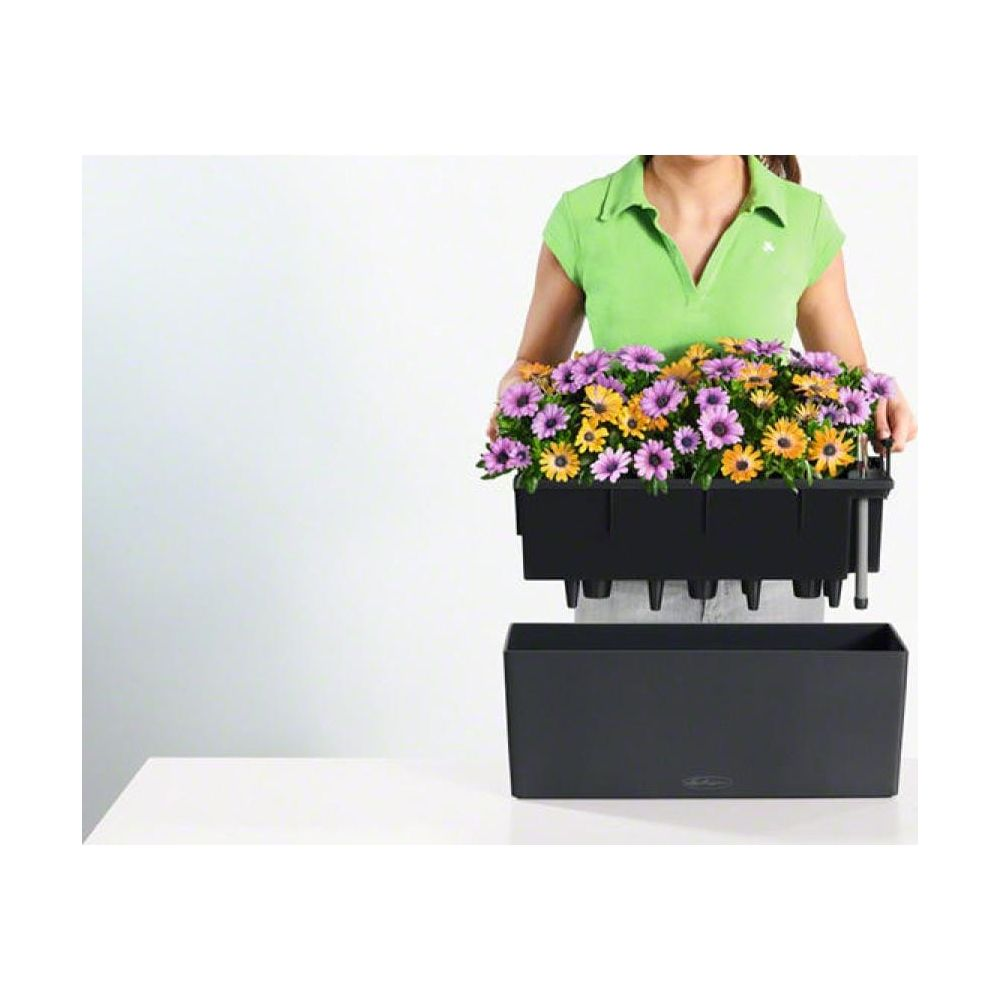 Persona con camisa verde sostiene jardinera negra con flores.