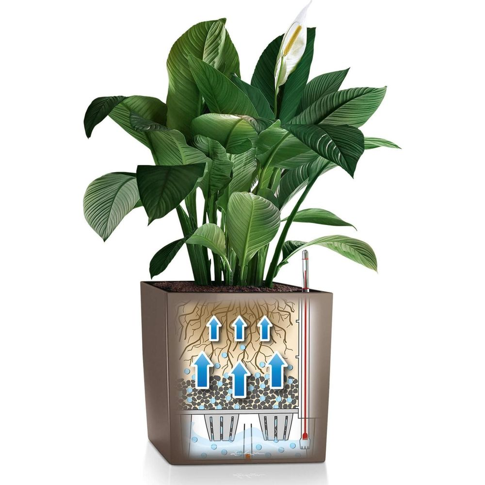 Brązowa donica z rośliną, pokazująca schemat przepływu wody w górę za pomocą strzałek.