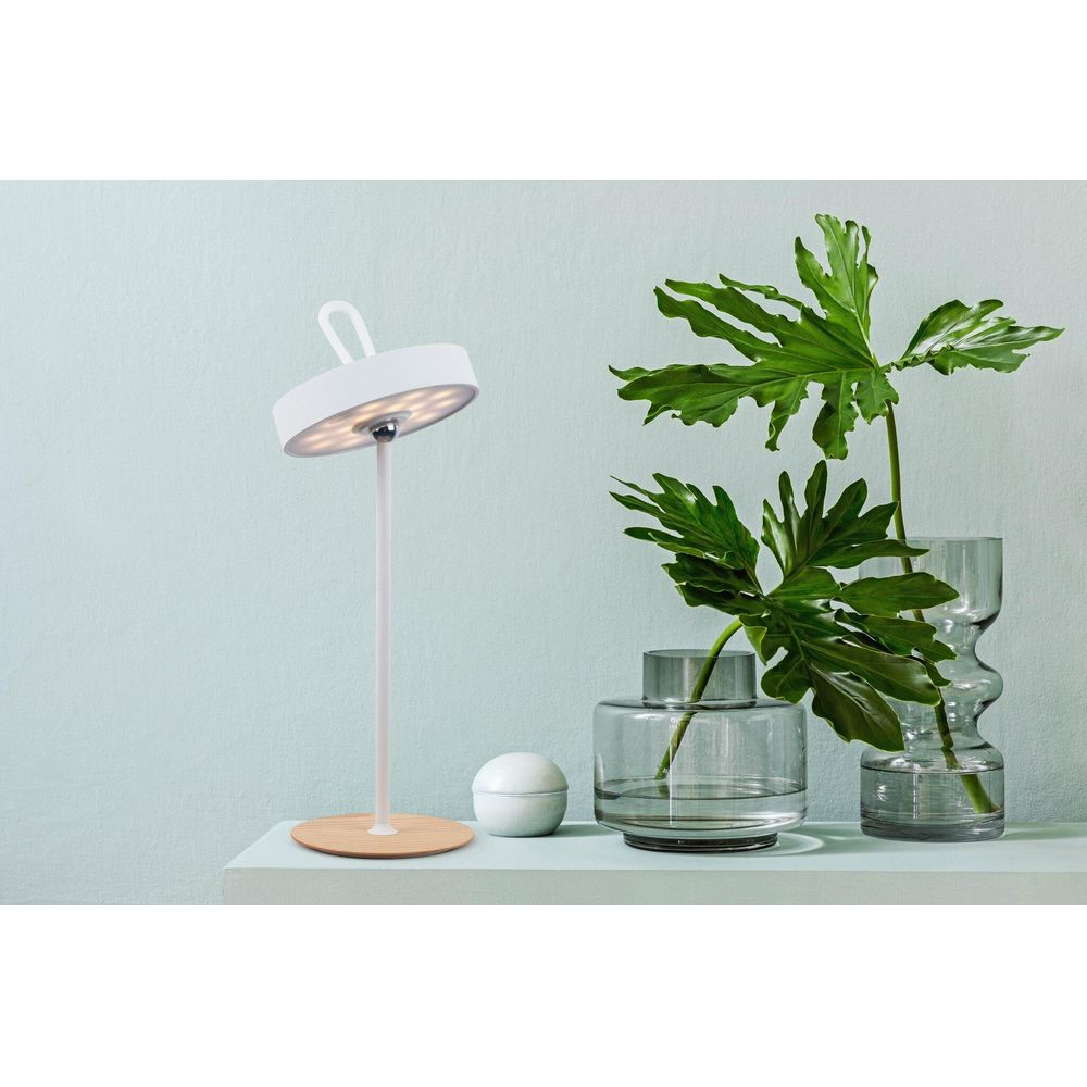 Weiße Lampe mit Holzfuß und Pflanzen in Glasvasen auf einem Regal.