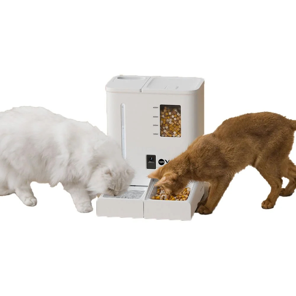 İki kedi, iki kaplı beyaz otomatik mama kabından yemek yiyor.