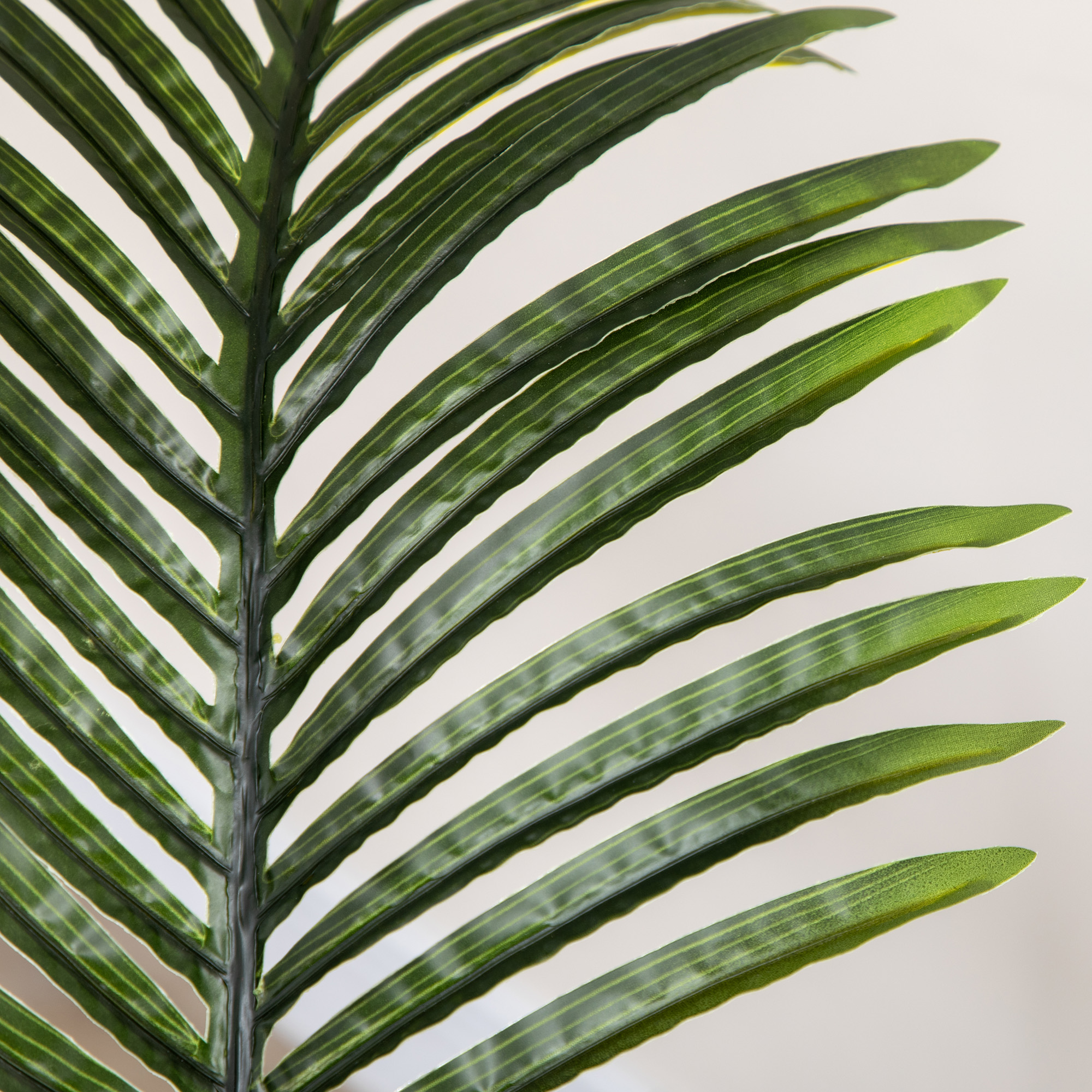 Una hoja de palmera verde con líneas finas sobre un fondo claro.