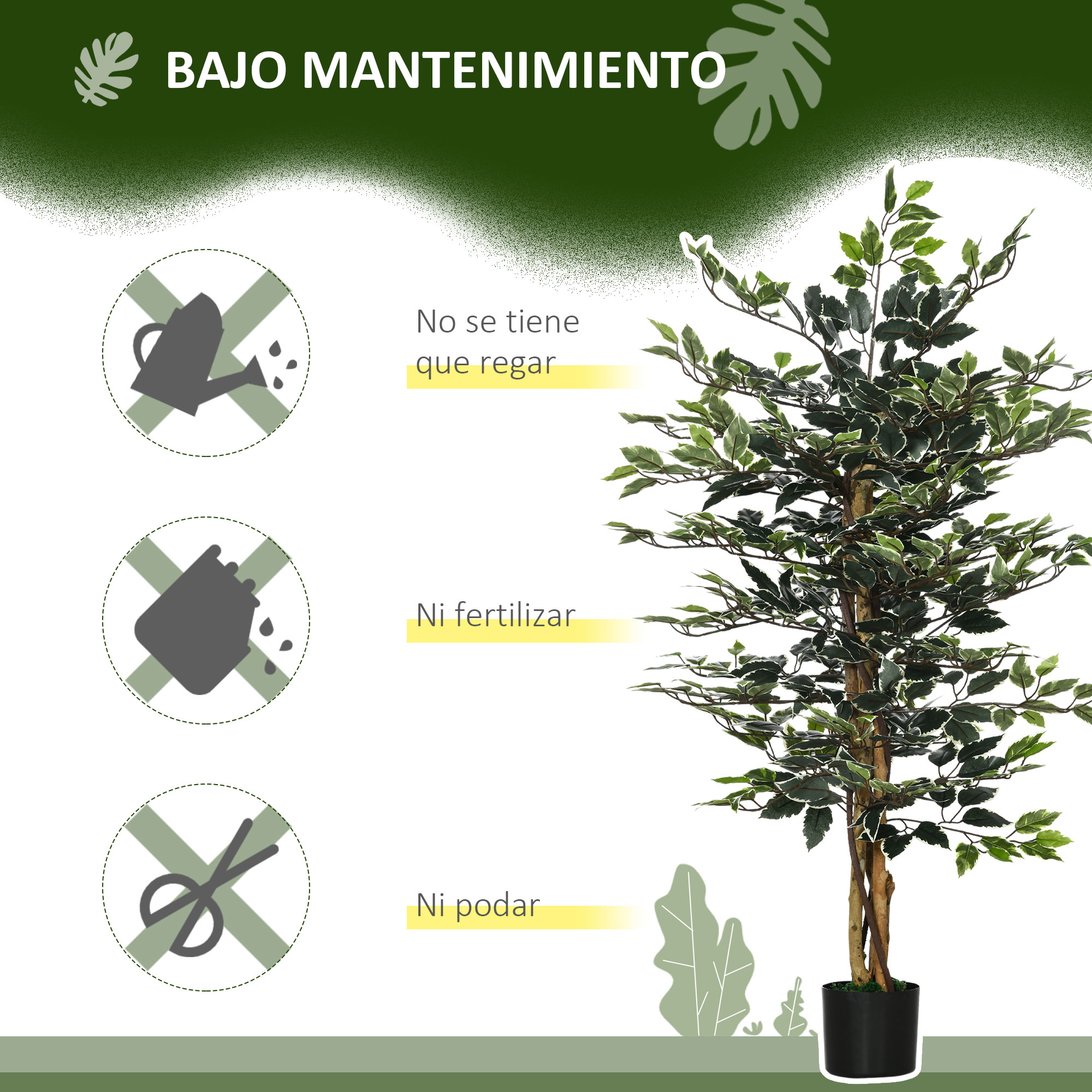 Una planta artificial de bajo mantenimiento con hojas verdes y bordes blancos.