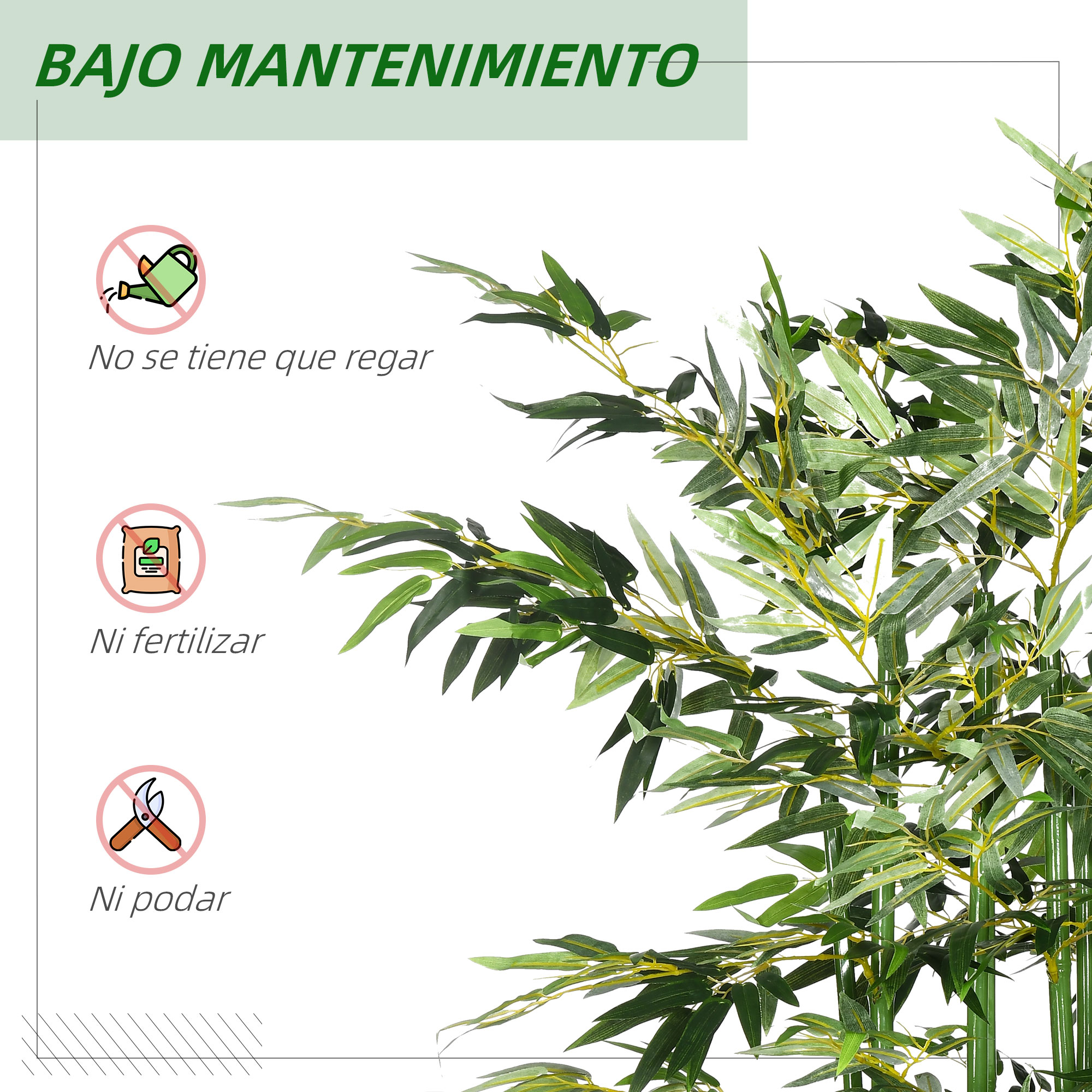 Bambú con iconos de 'no regar', 'no fertilizar', 'no podar'.