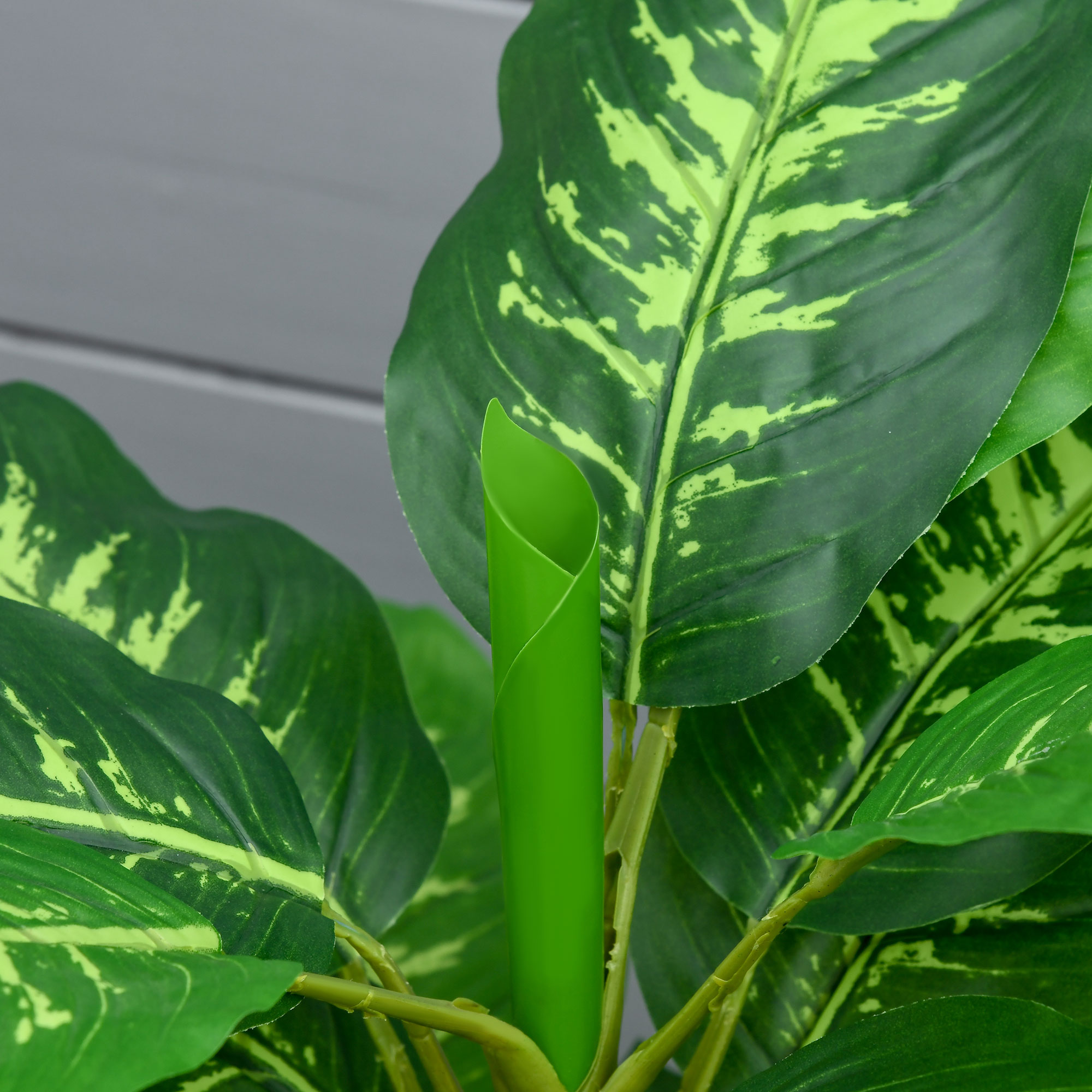 Hoja verde con motas amarillas y una hoja nueva enrollada.