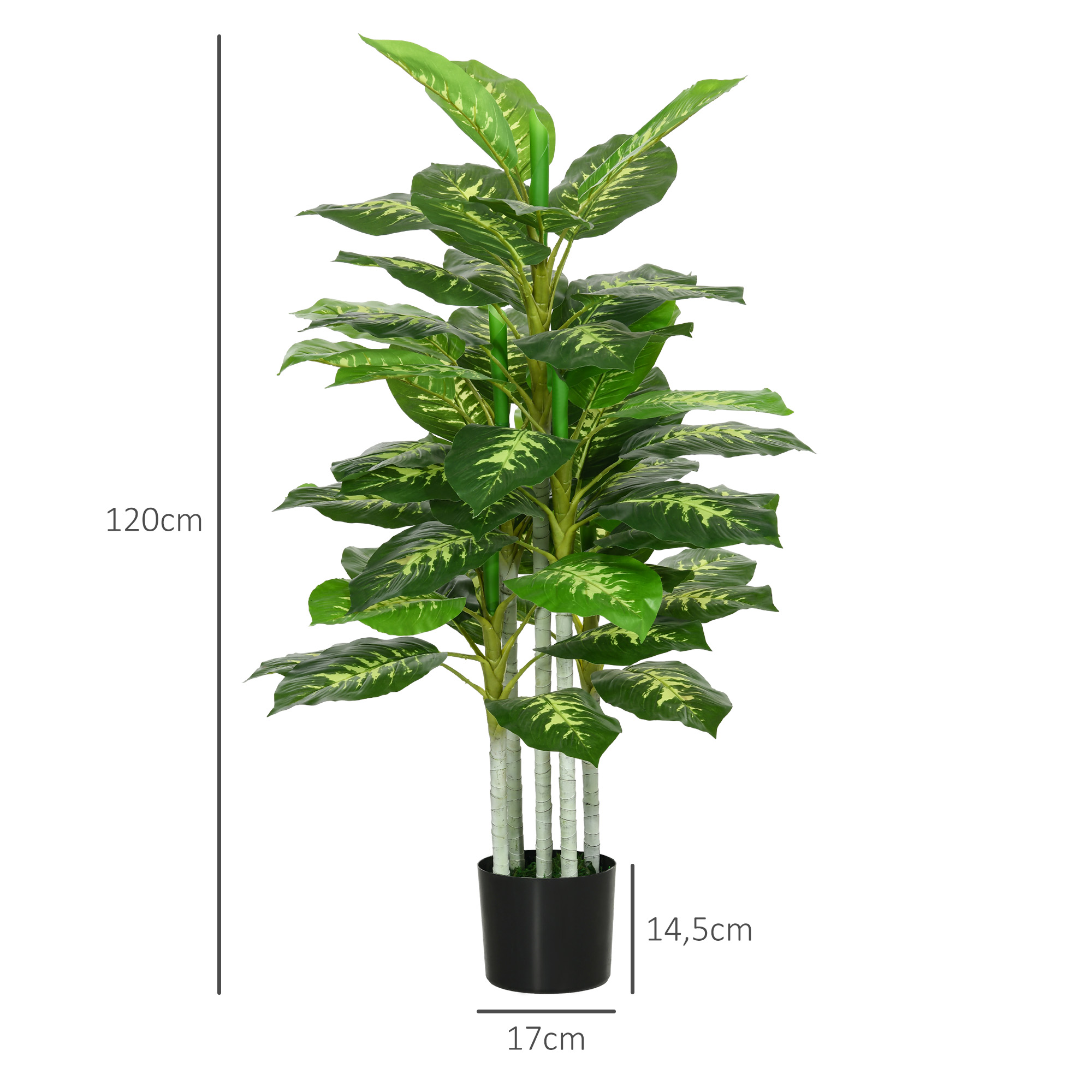Una planta verde alta con hojas estampadas en una maceta negra.