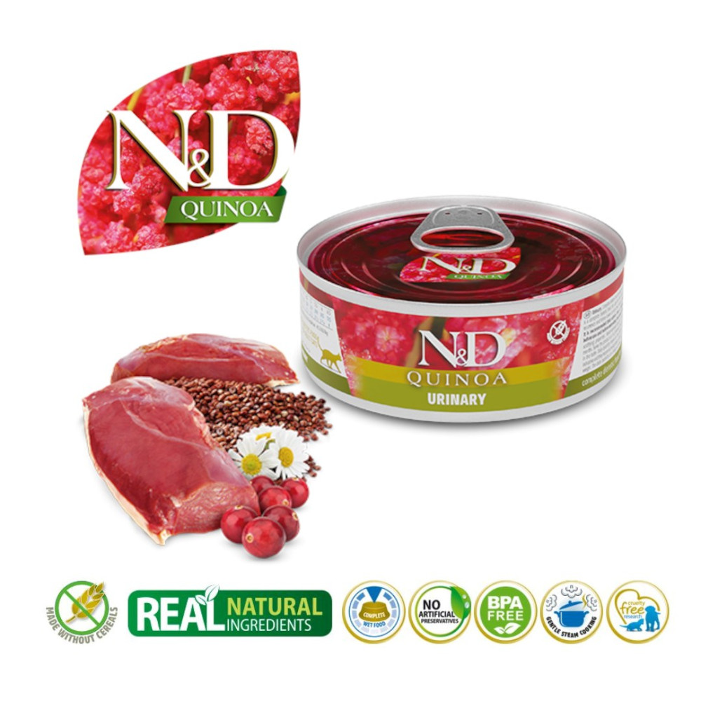 Puszka karmy dla psów z komosą ryżową, mięsem, jagodami i kwiatami.