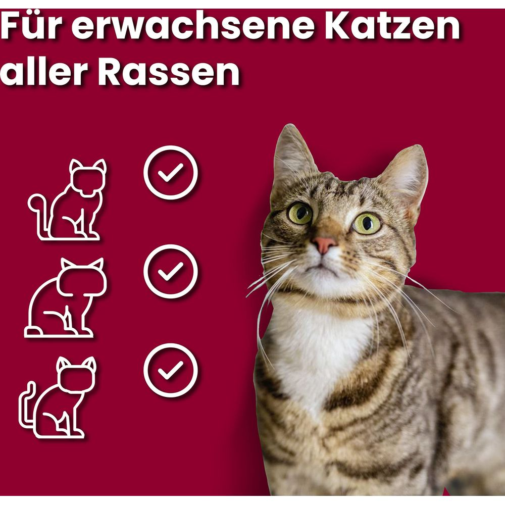 Kot z ikonami i tekstem 'Dla dorosłych kotów wszystkich ras'.