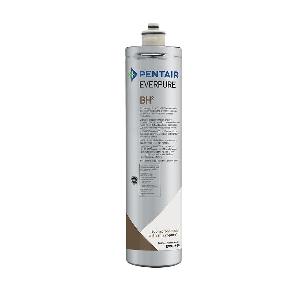 Filtro acqua Pentair Everpure BH2 grigio con testo e dettagli prodotto.