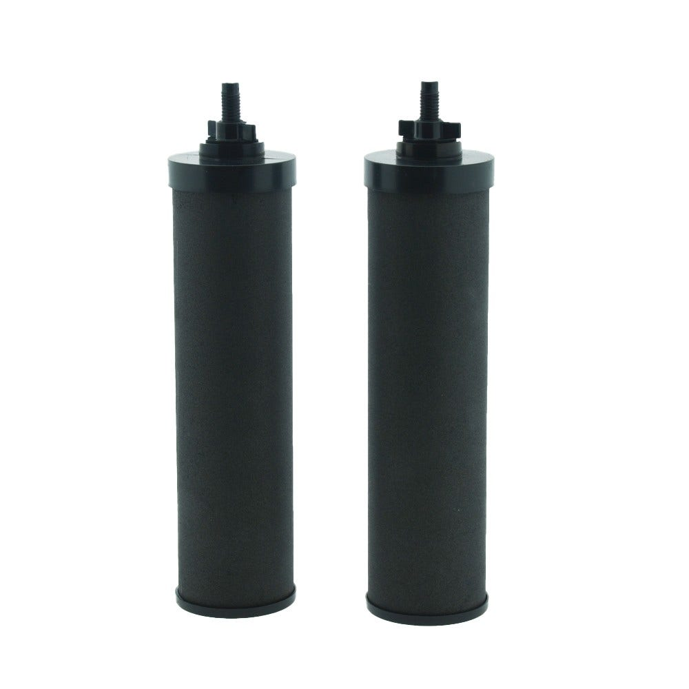 Zwei schwarze Wasserfilterkerzen mit Schraubverschlüssen stehen nebeneinander.