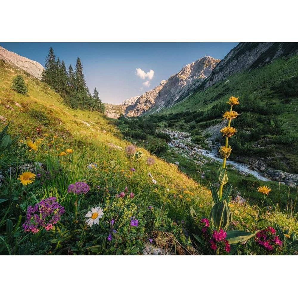Une prairie de montagne avec des fleurs colorées, des arbres et un ruisseau dans la vallée.