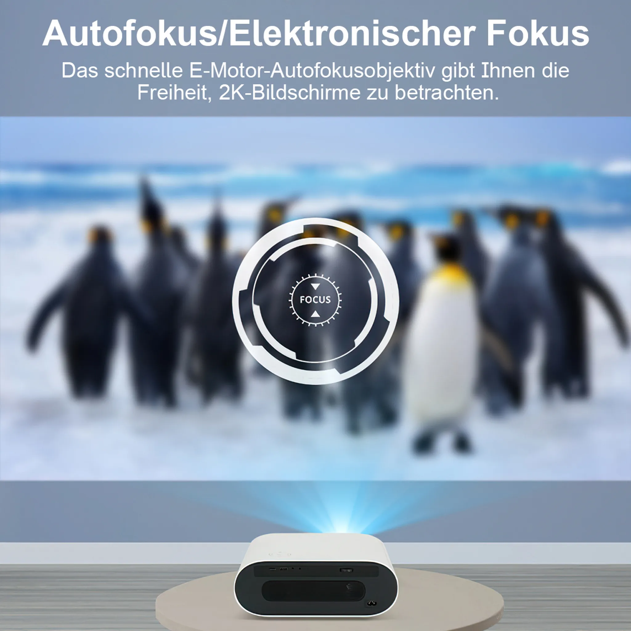 Ein Projektor projiziert ein Bild von Pinguinen auf einen Bildschirm. Ein Fokus-Symbol ist zu sehen.
