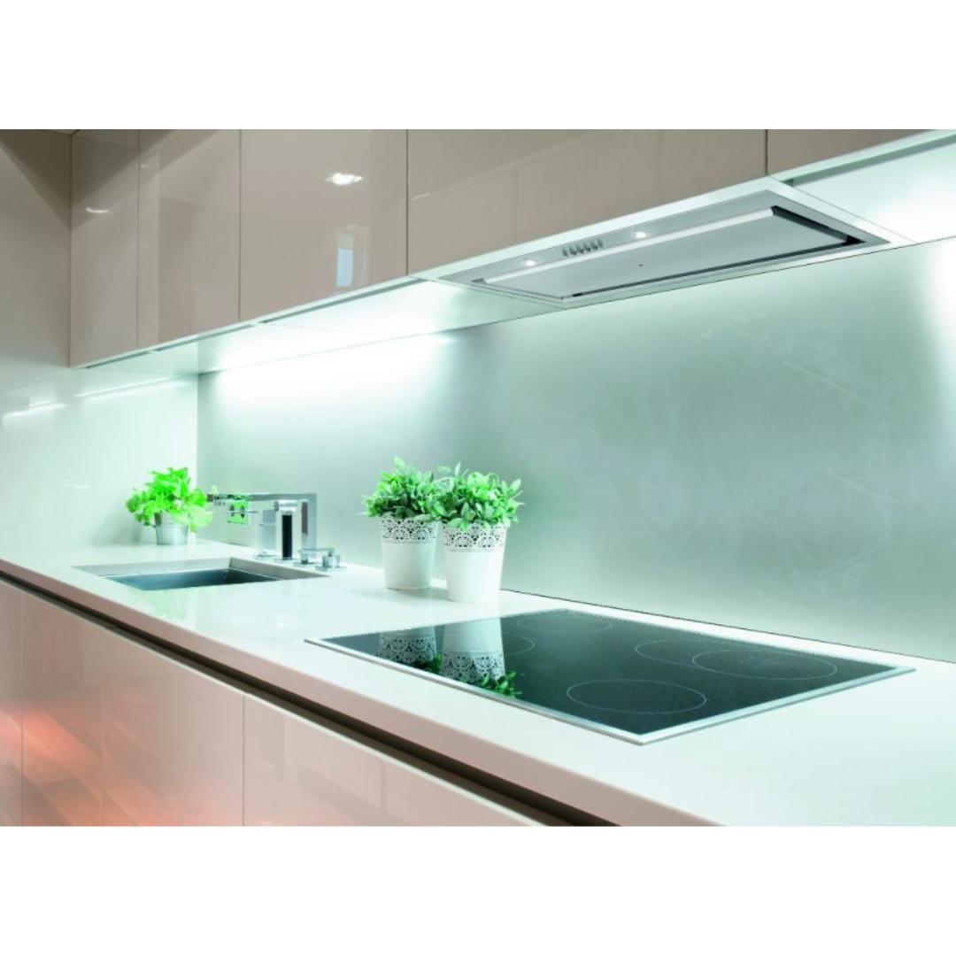 Cucina moderna con piano cottura a induzione, lavello, cappa e piante.