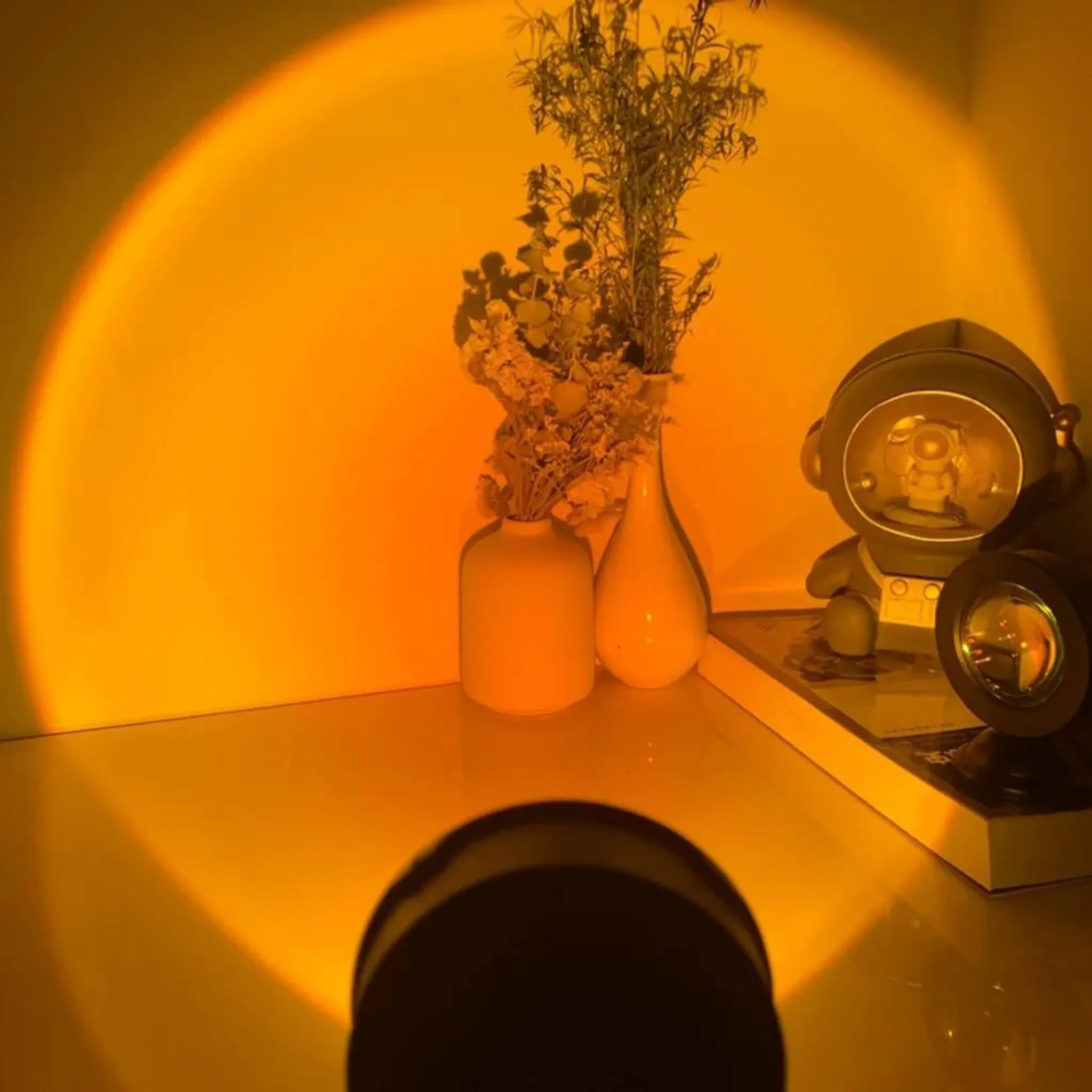 Ein Astronaut steht neben Vasen mit Pflanzen, beleuchtet von einem orangefarbenen Licht.