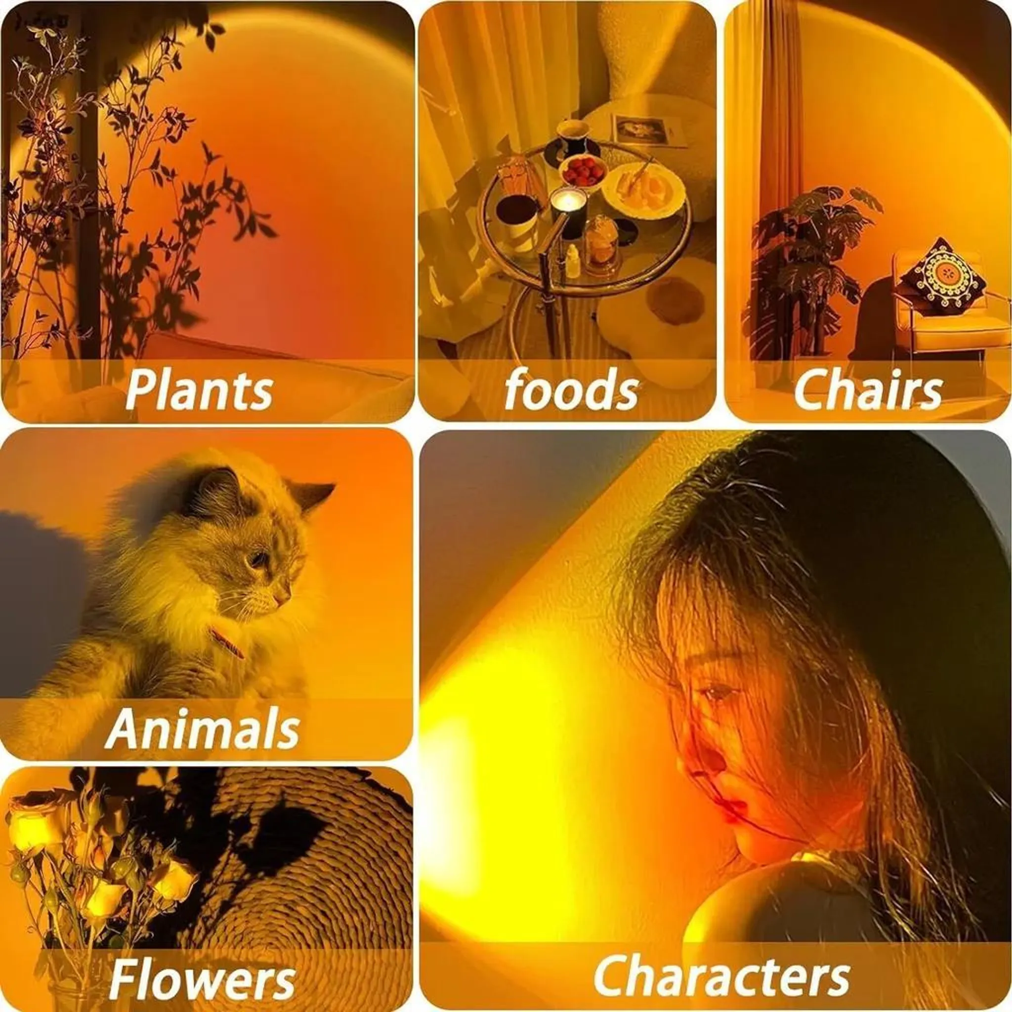 Sonnenuntergangslampe-Effekt auf Pflanzen, Essen, Stühle, Tiere, Blumen und eine Person.