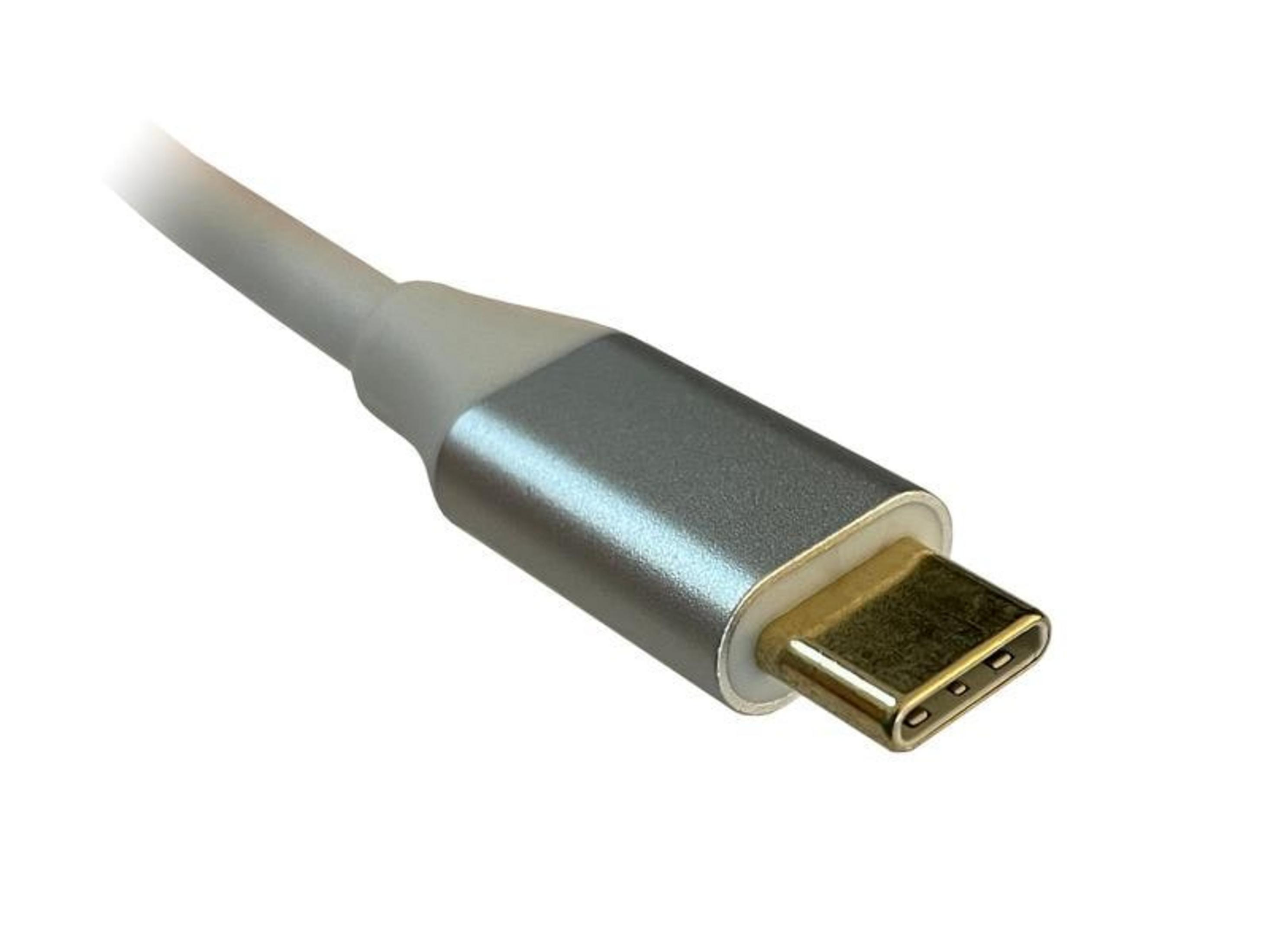 Ein silberner USB-C-Stecker mit goldenen Kontakten und einem weißen Kabel.